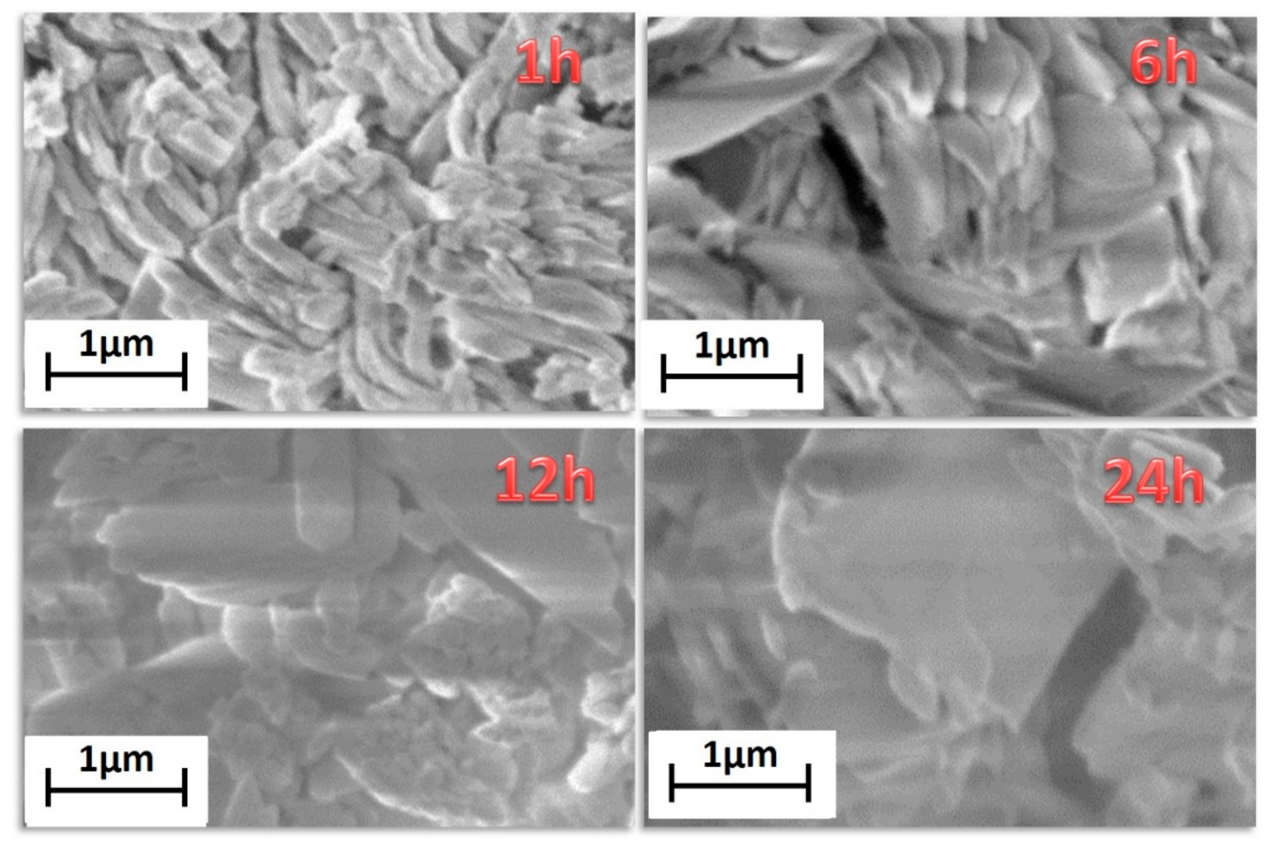 Sensors 21 01679 g005
