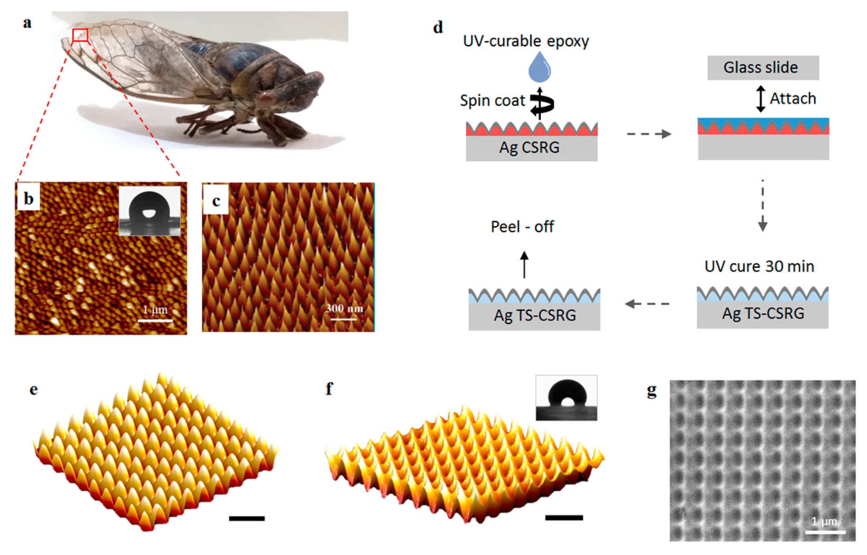Sensors 21 01699 g001