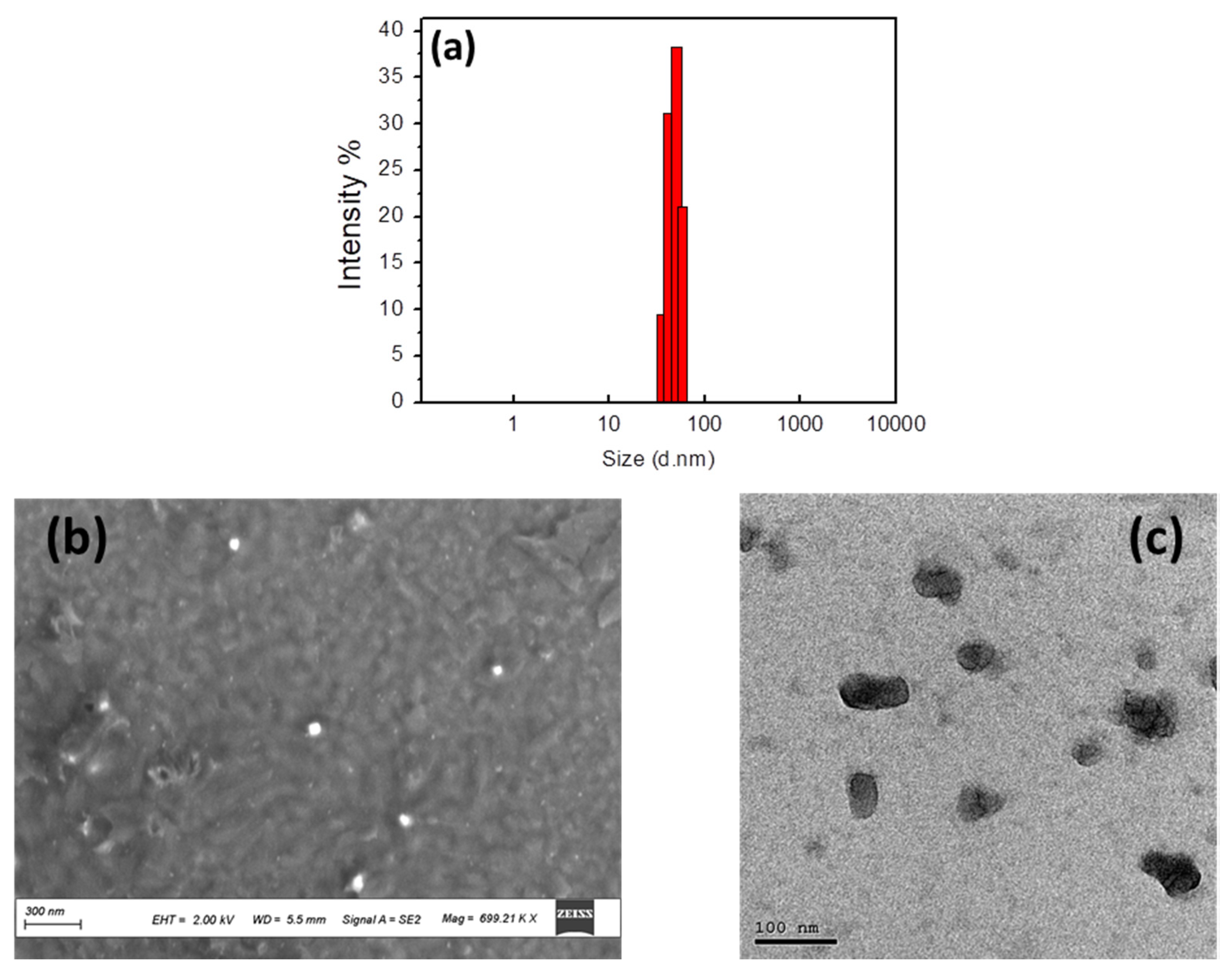 Sensors 21 01715 g001