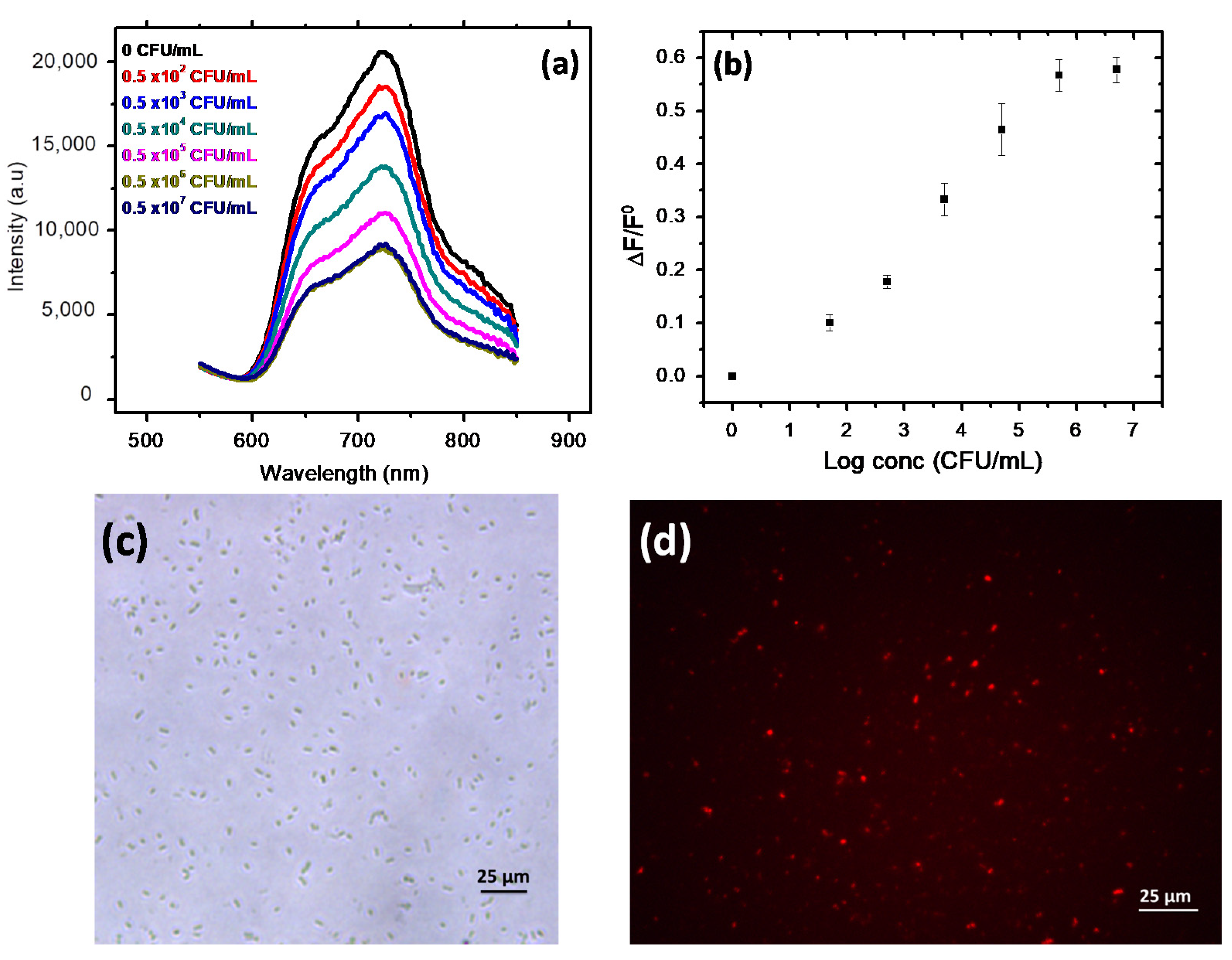 Sensors 21 01715 g003