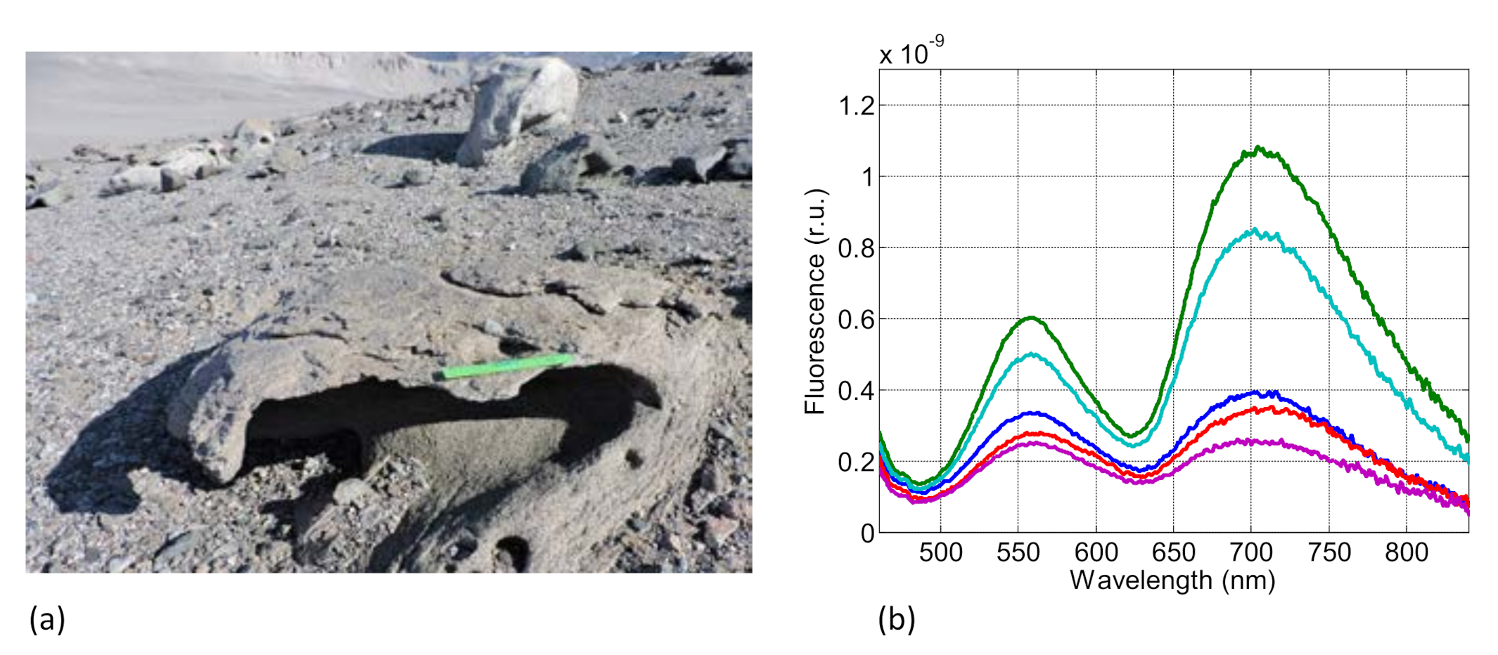 Sensors 21 01729 g006
