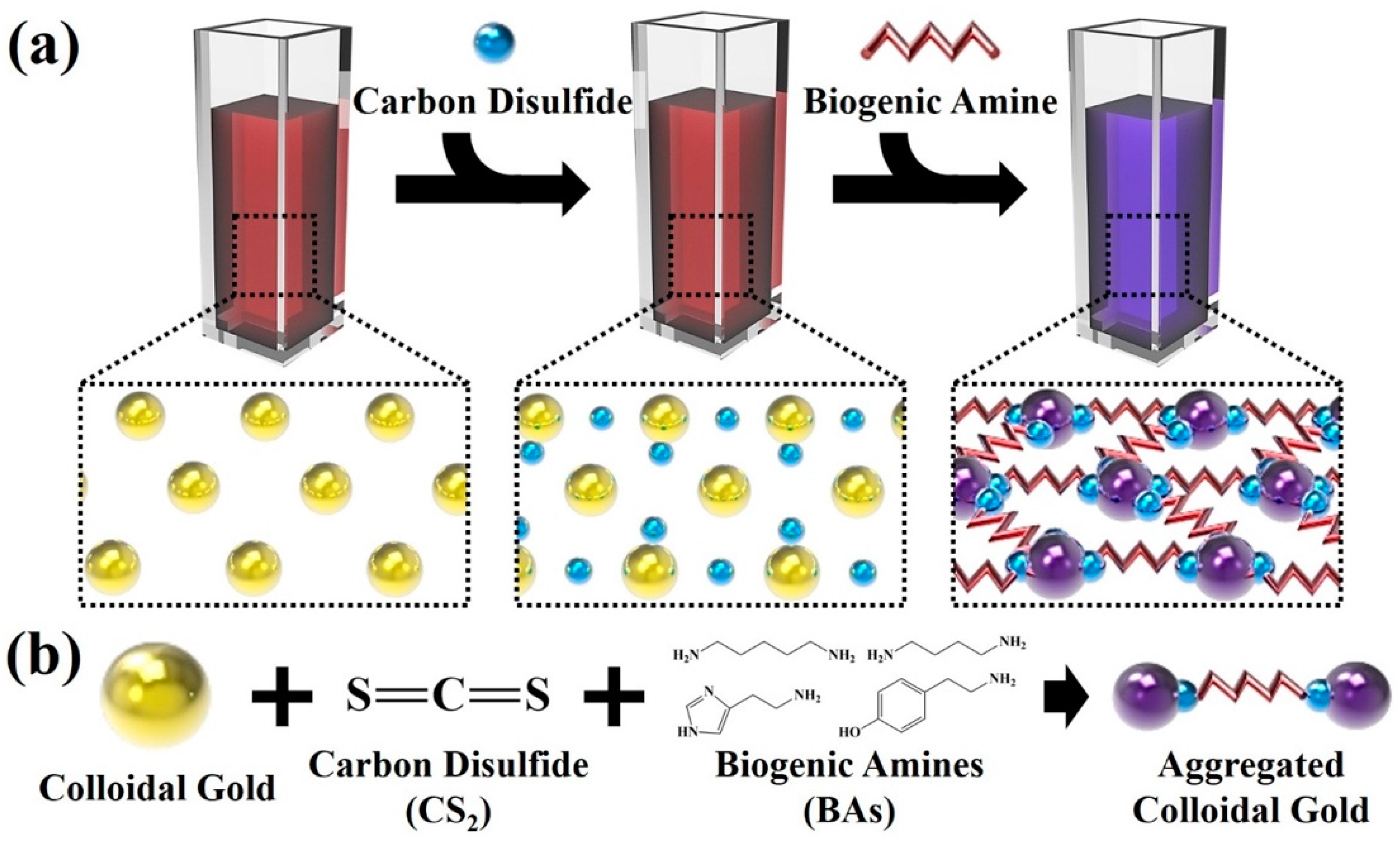 Sensors 21 01738 g001 Sensors 21 01738 g001