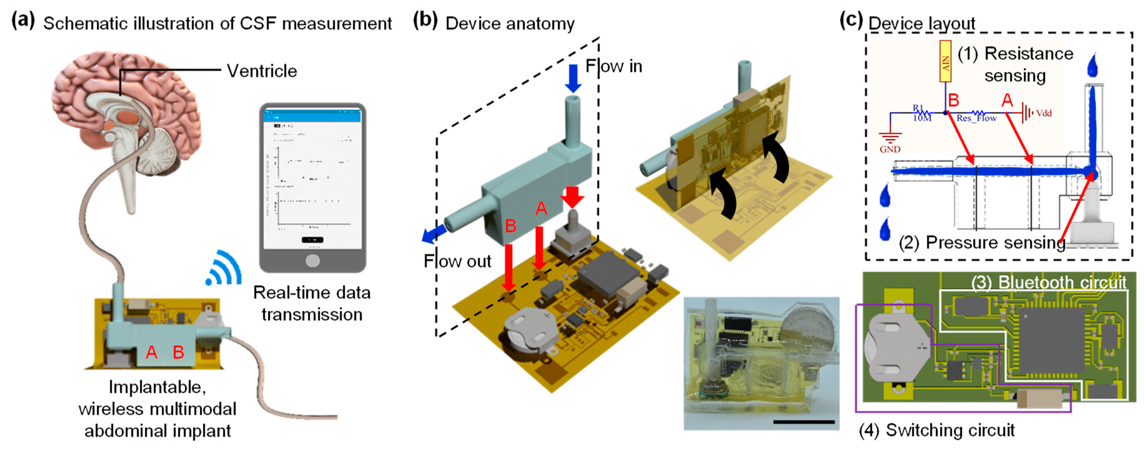 Sensors 21 01747 g001