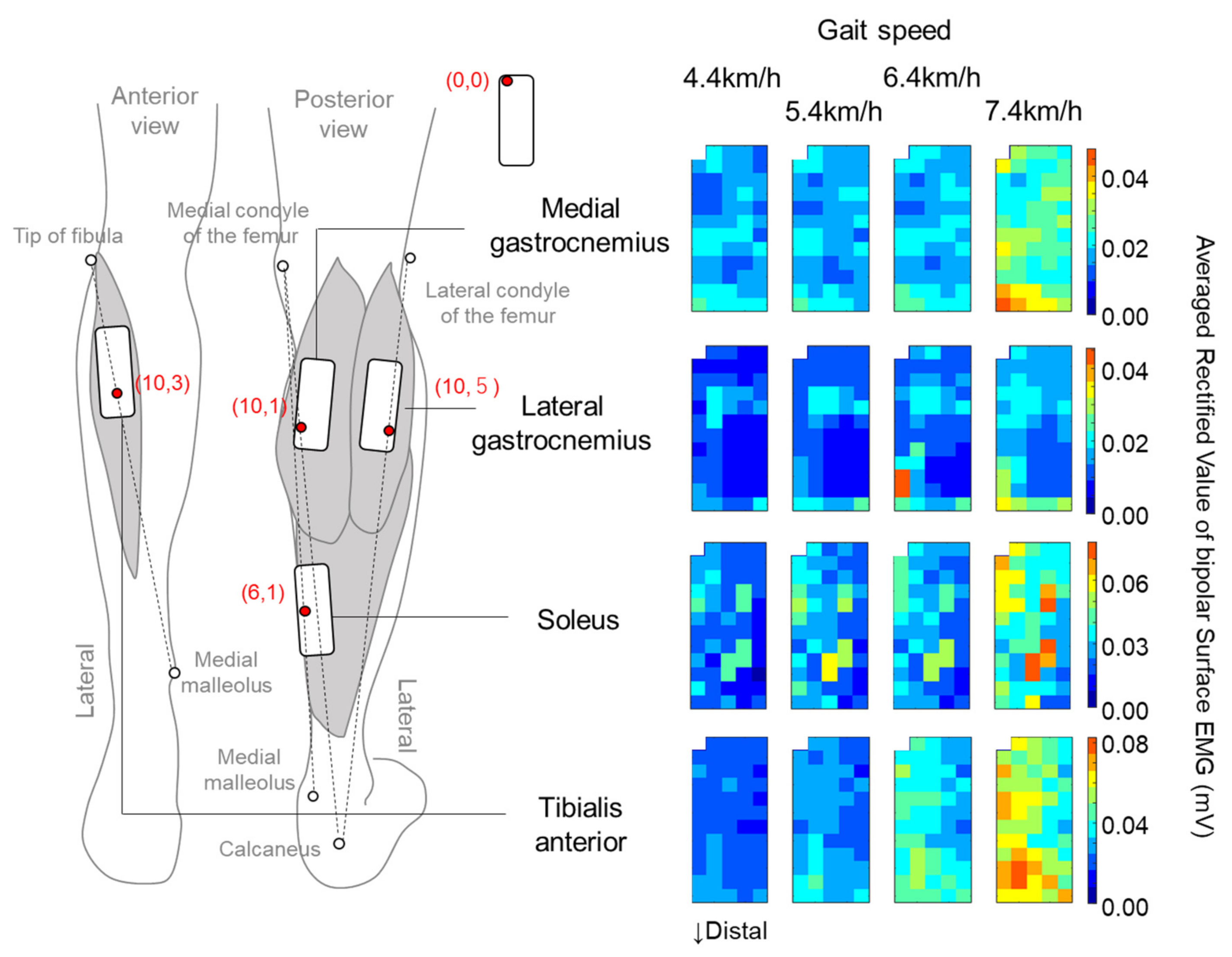 Sensors 21 01748 g001