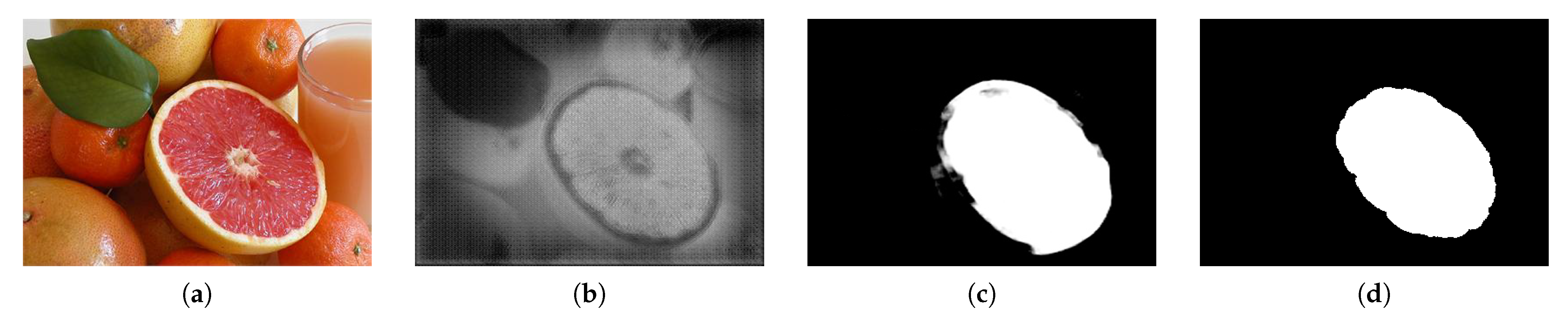 Sensors 21 01753 g013