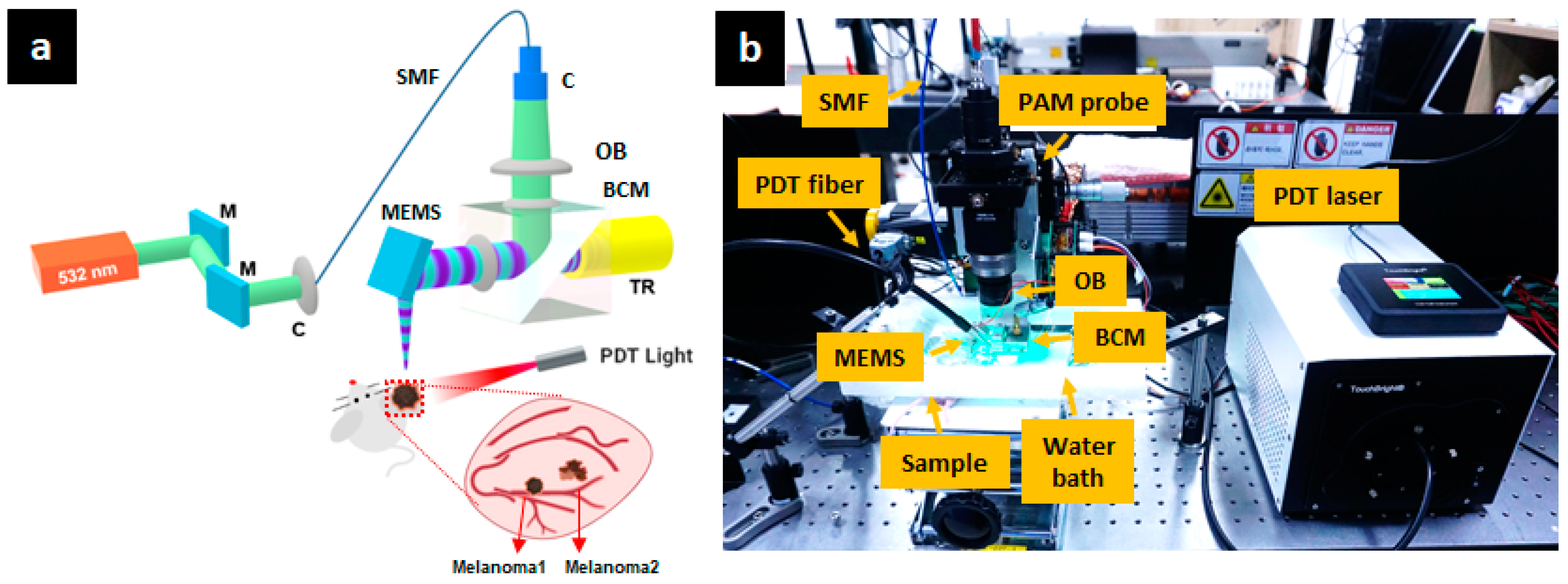 Sensors 21 01776 g001