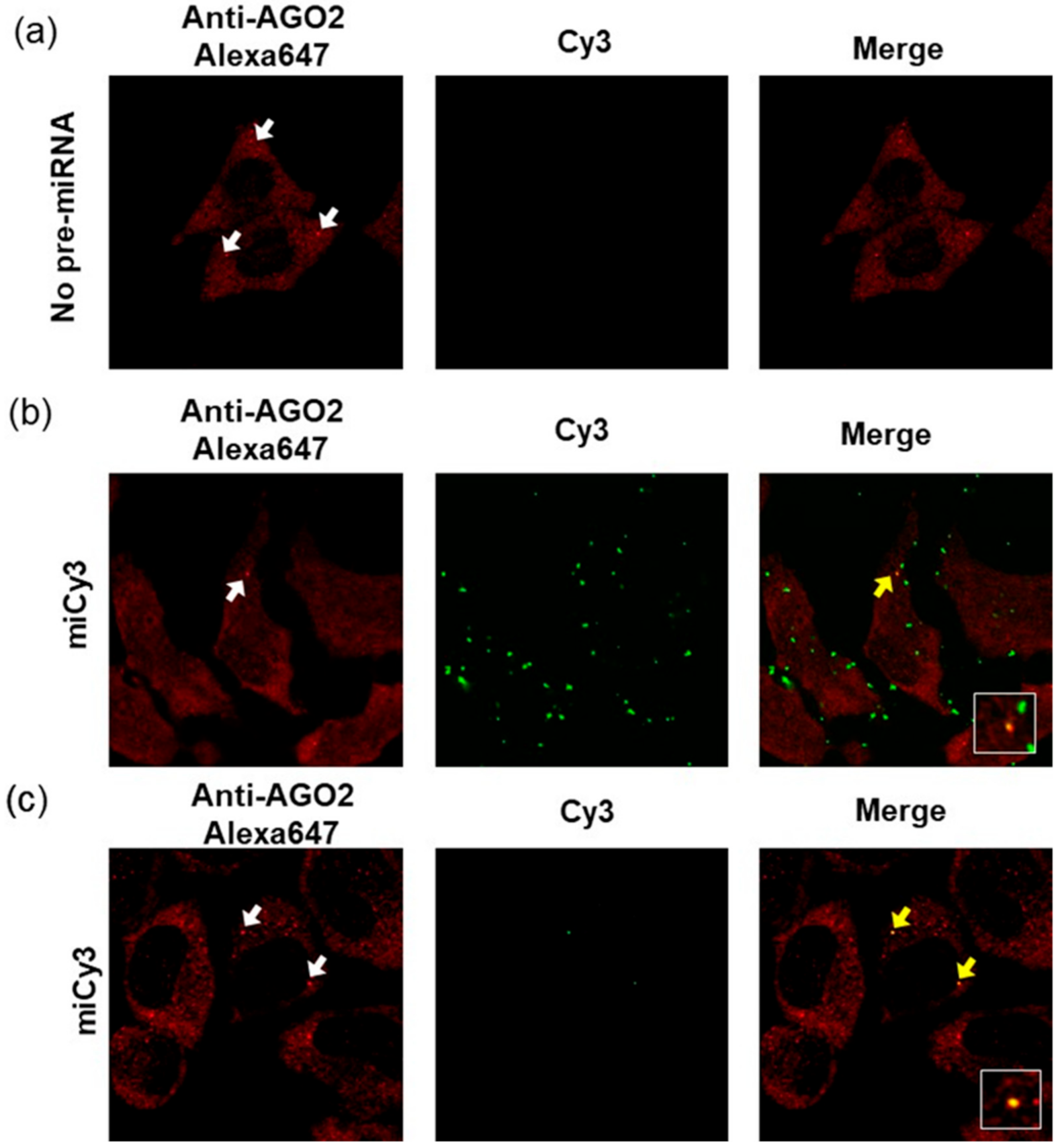 Sensors 21 01785 g005
