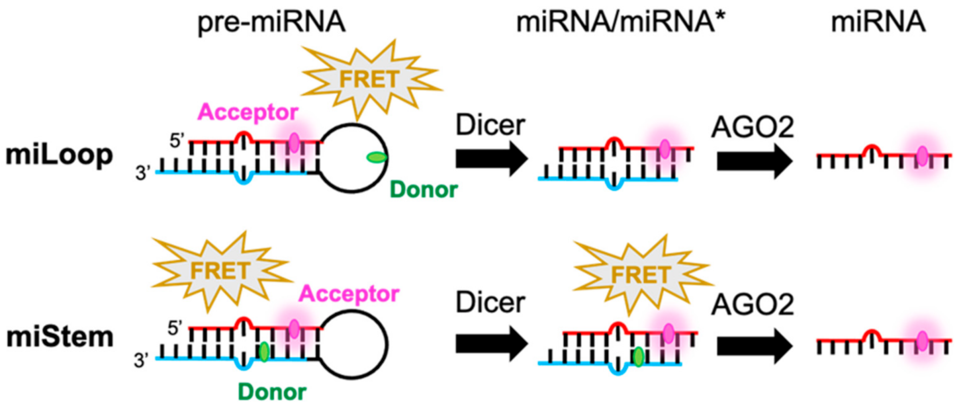 Sensors 21 01785 sch001