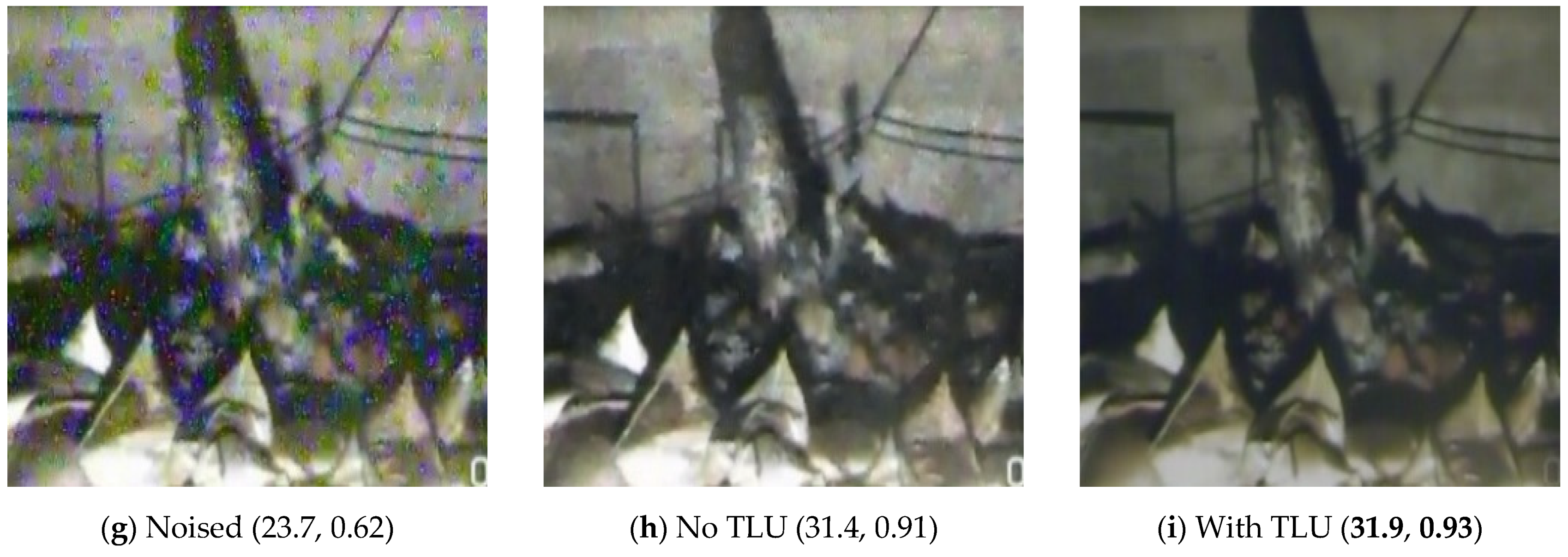 Sensors 21 01810 g012b Sensors 21 01810 g012b