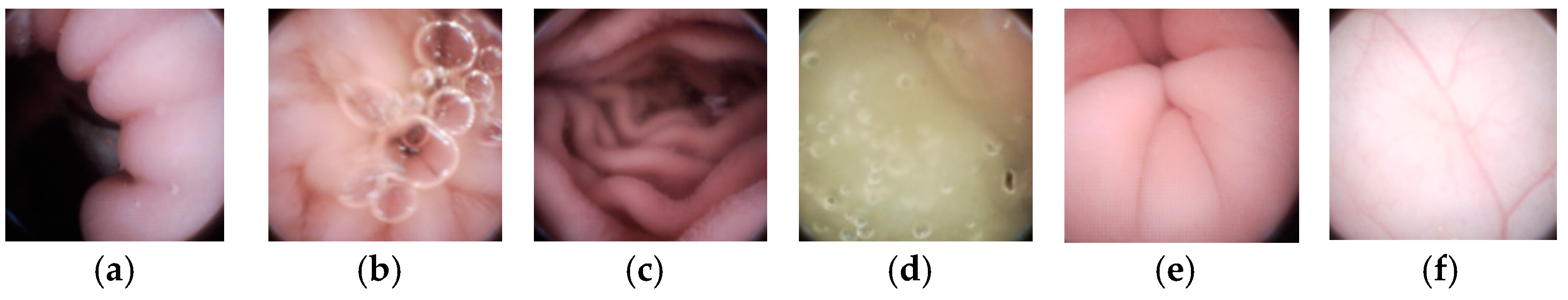 Sensors 21 01817 g010 Sensors 21 01817 g010