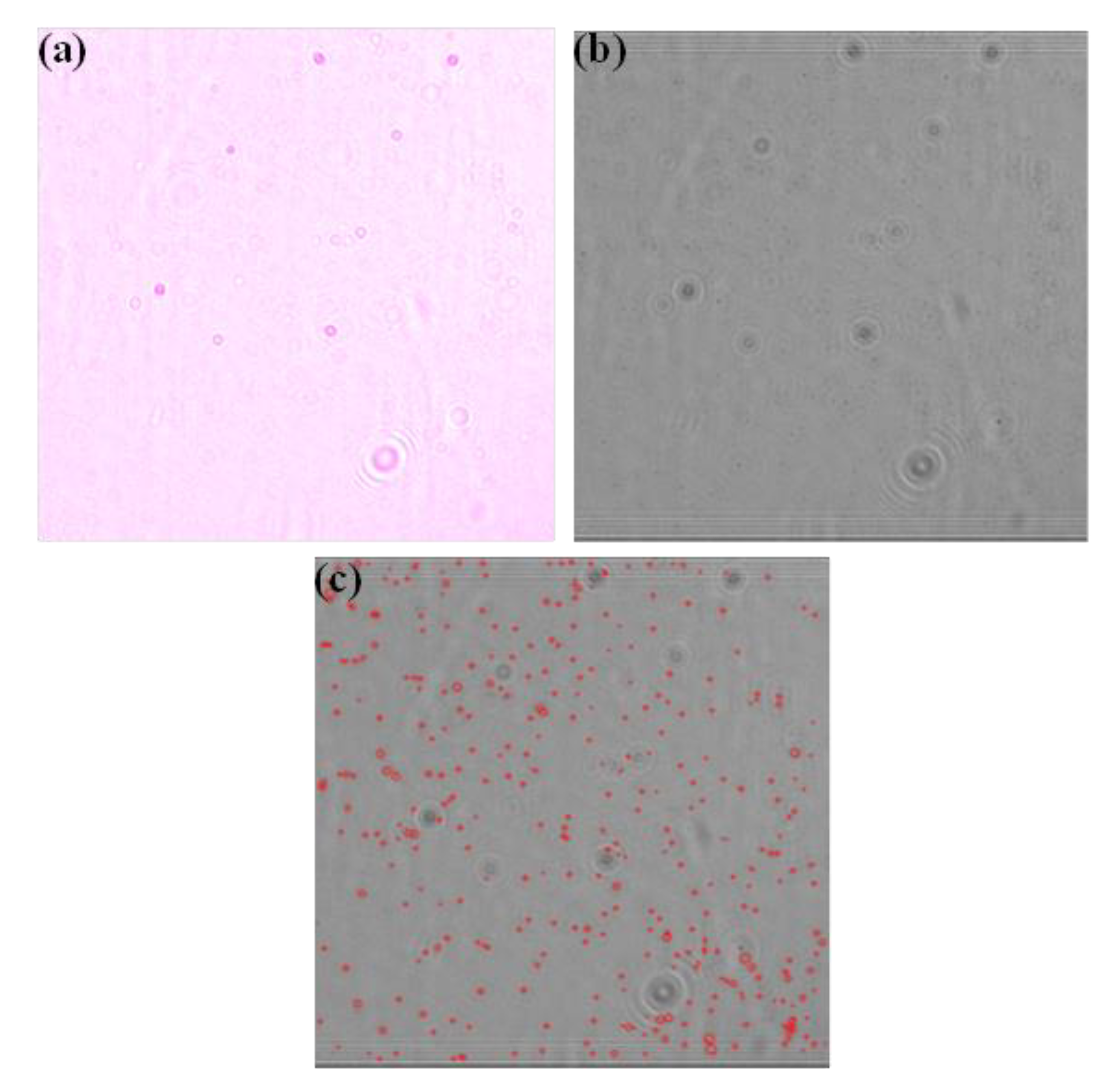 Sensors 21 01819 g003
