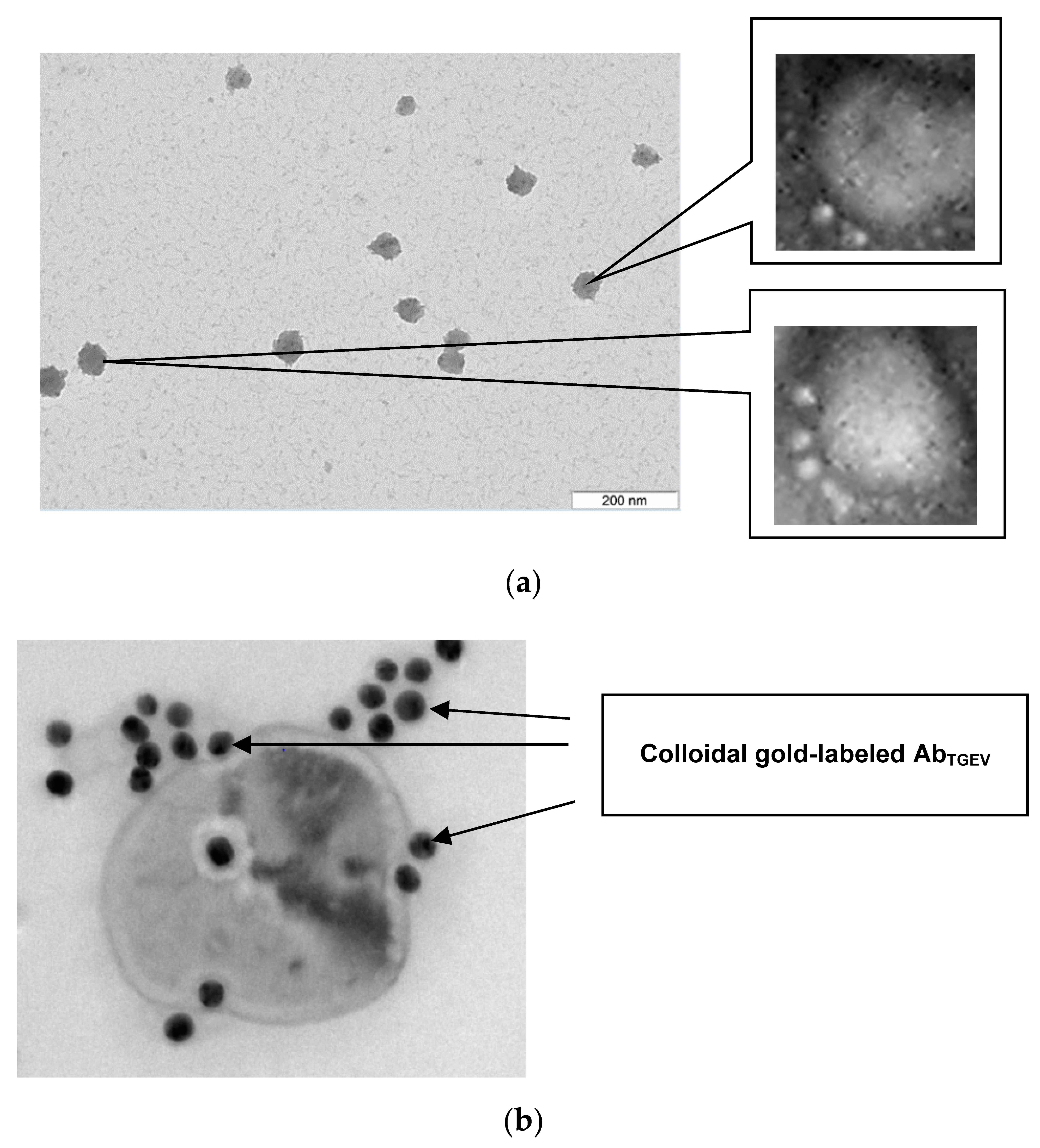 Sensors 21 01822 g006