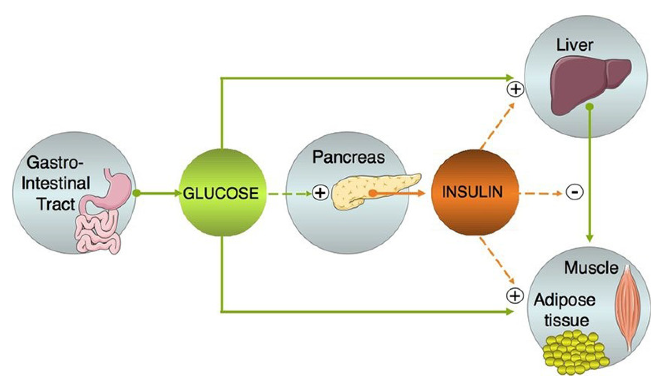 Sensors 21 01843 g001