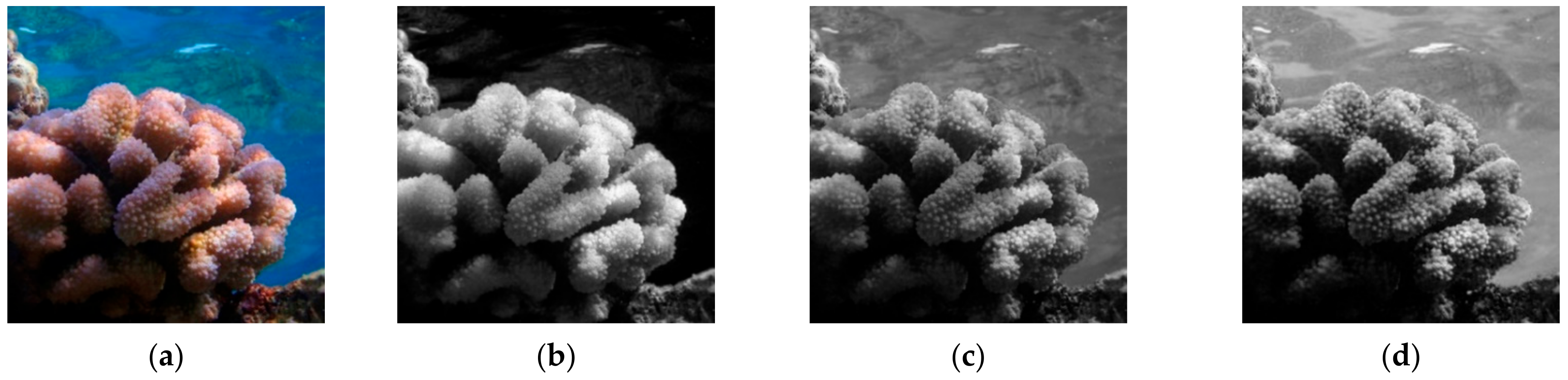 Sensors 21 01848 g004a