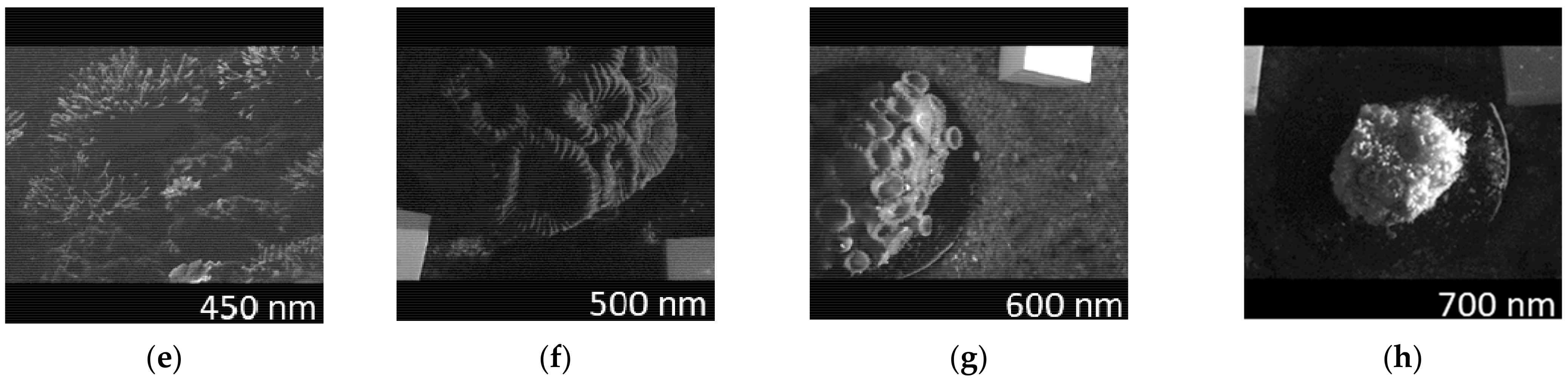 Sensors 21 01848 g004b