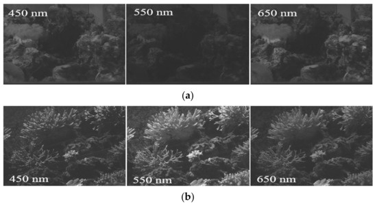Sensors 21 01848 g0a1