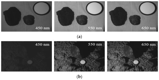 Sensors 21 01848 g0a10a Sensors 21 01848 g0a10a