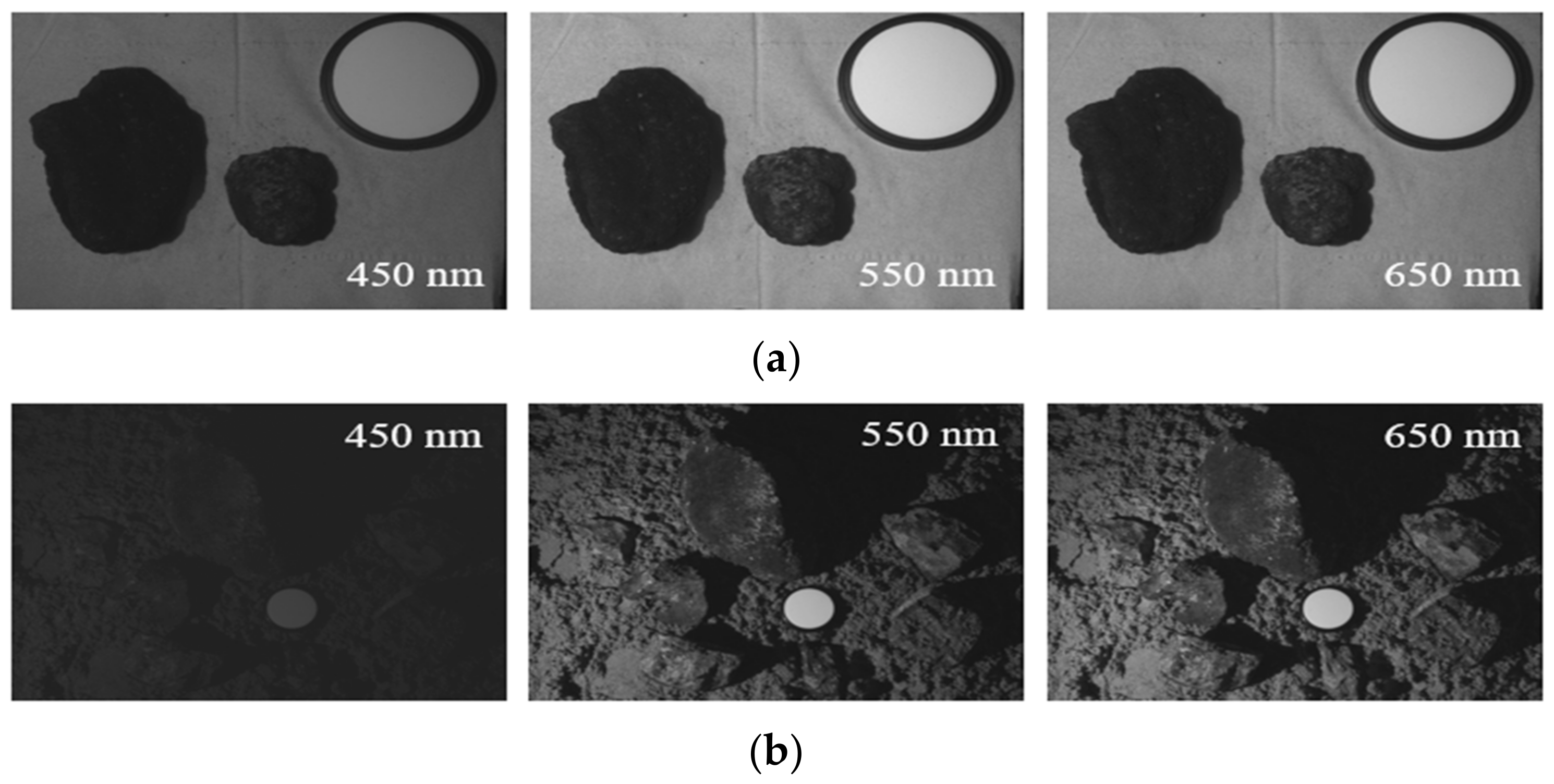 Sensors 21 01848 g0a10a