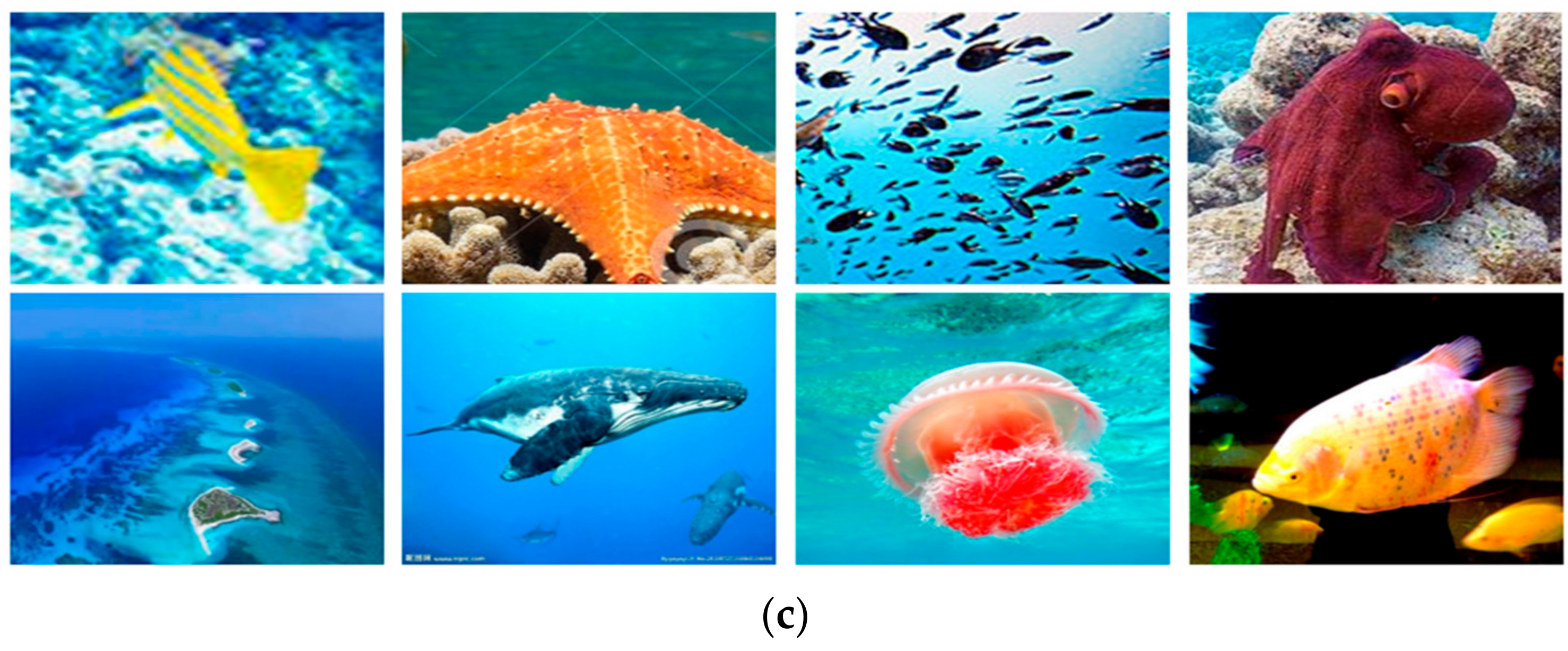 Sensors 21 01848 g0a10b