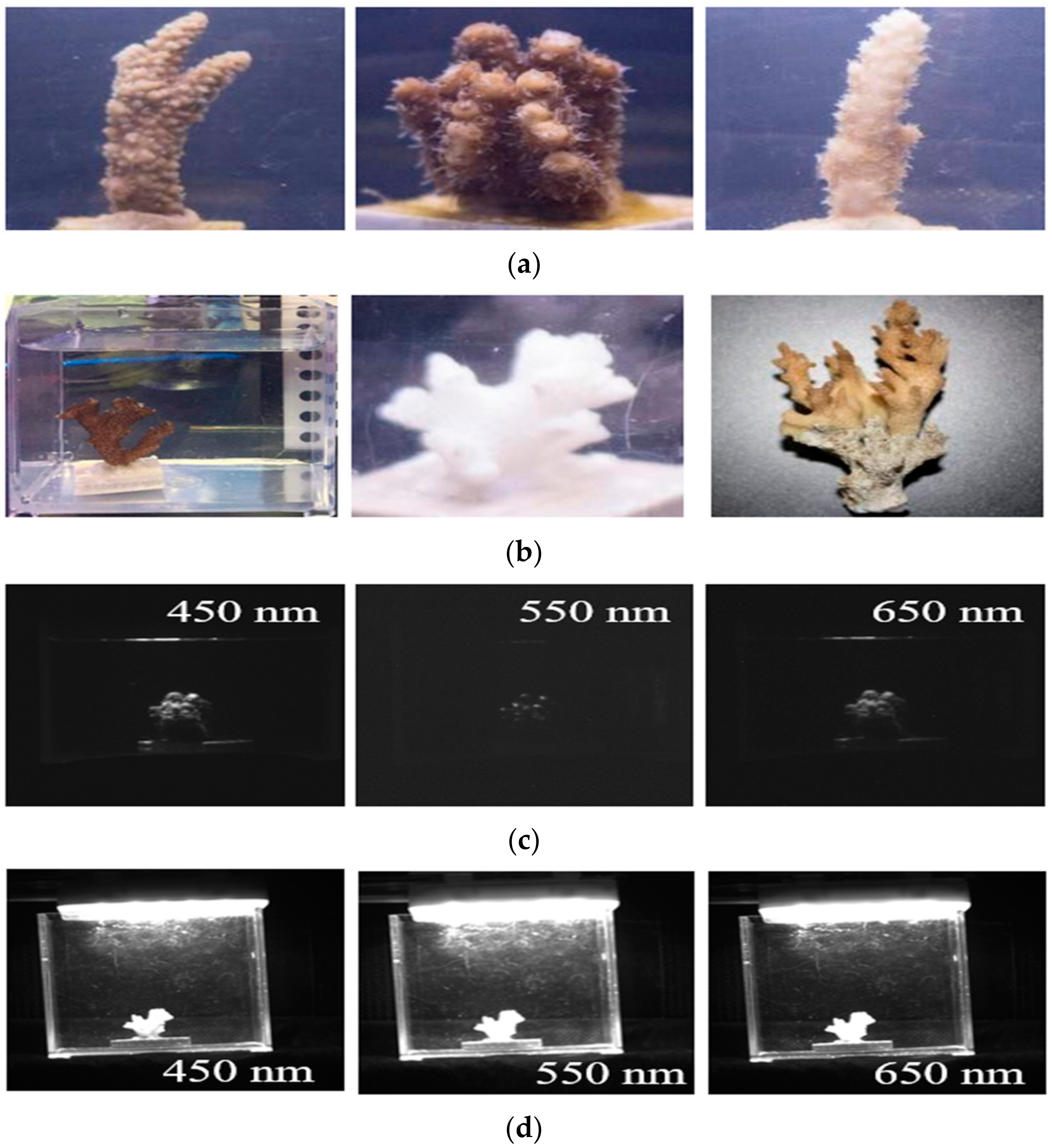 Sensors 21 01848 g0a2