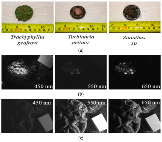 Sensors 21 01848 g0a3