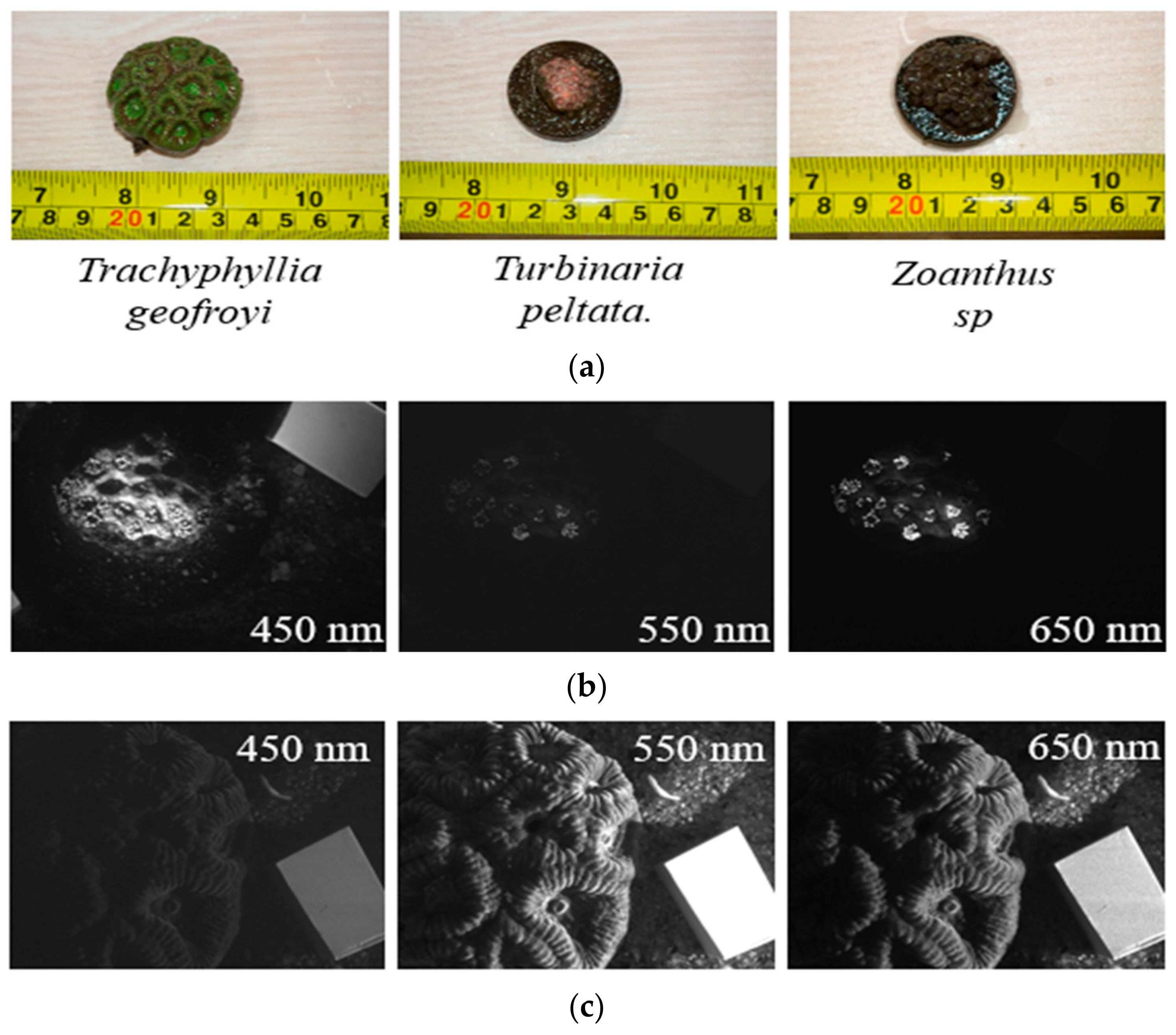Sensors 21 01848 g0a3