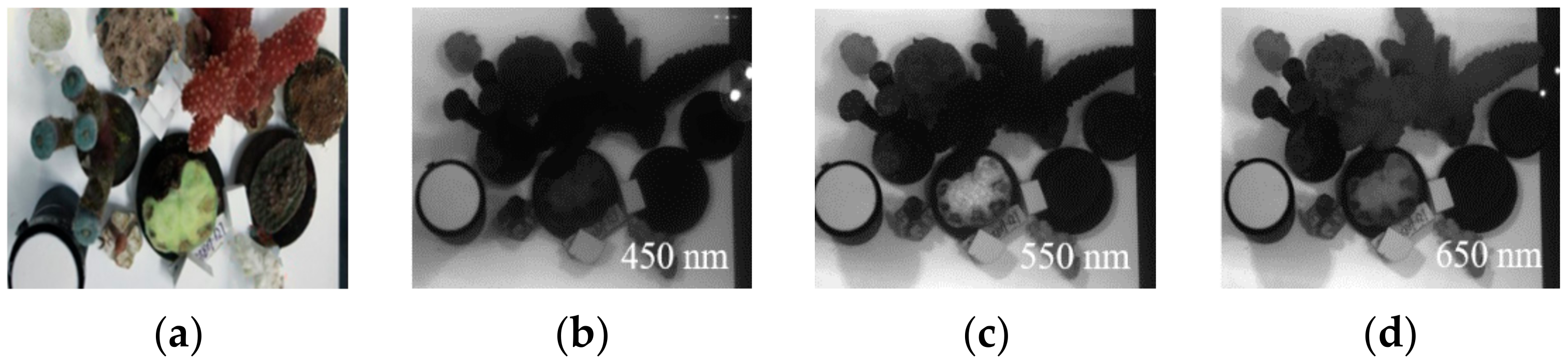 Sensors 21 01848 g0a4