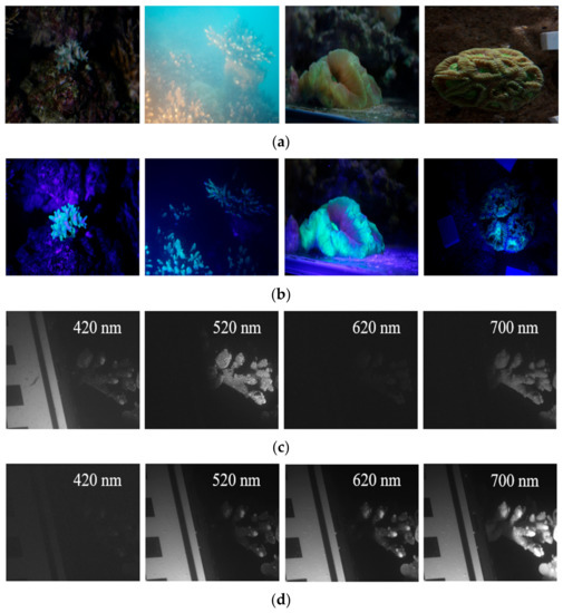 Sensors 21 01848 g0a6