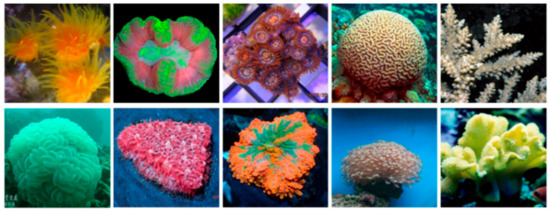 Sensors 21 01848 g0a7