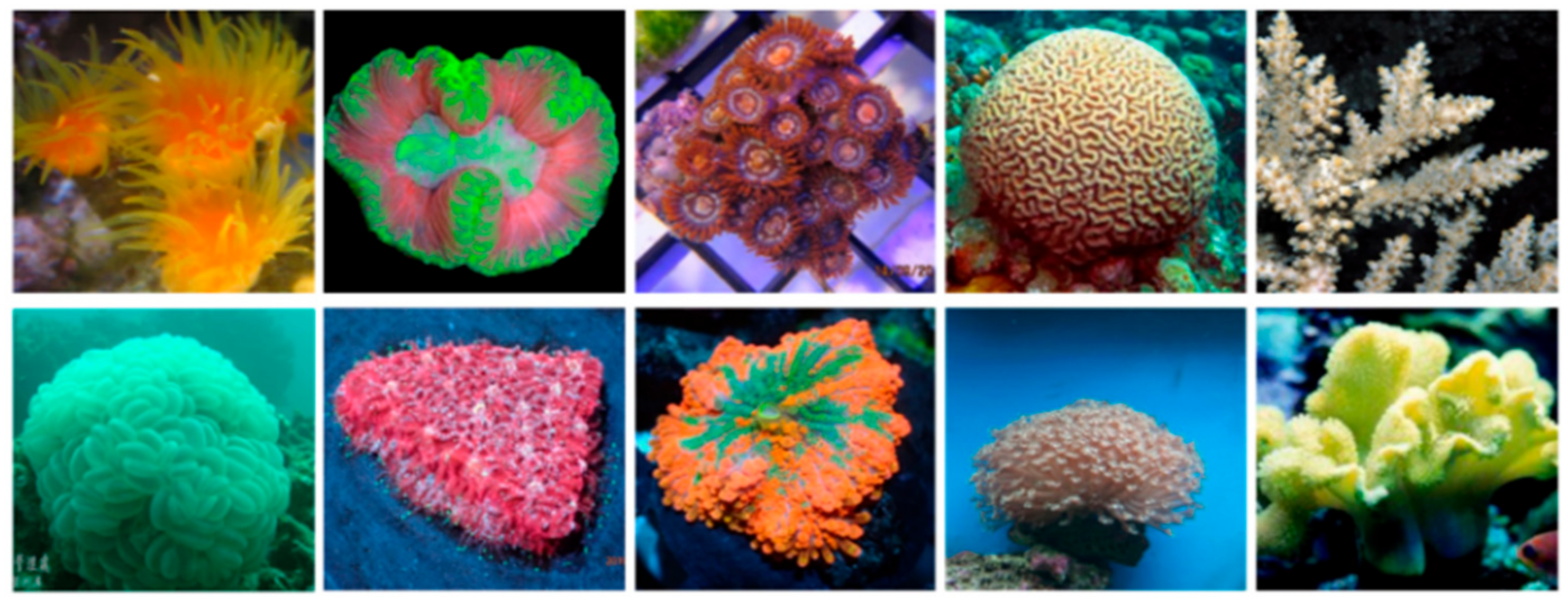 Sensors 21 01848 g0a7