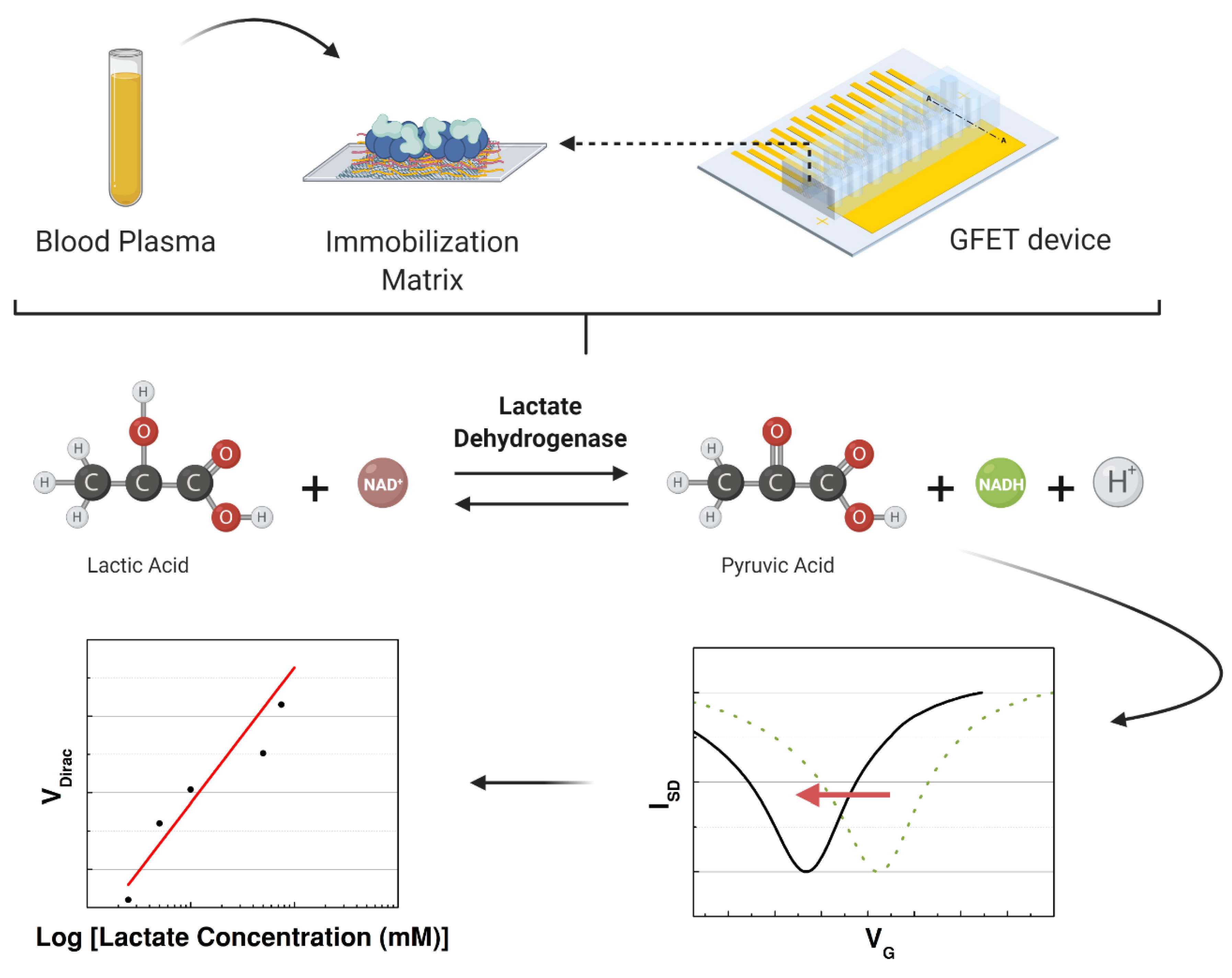 Sensors 21 01852 g003