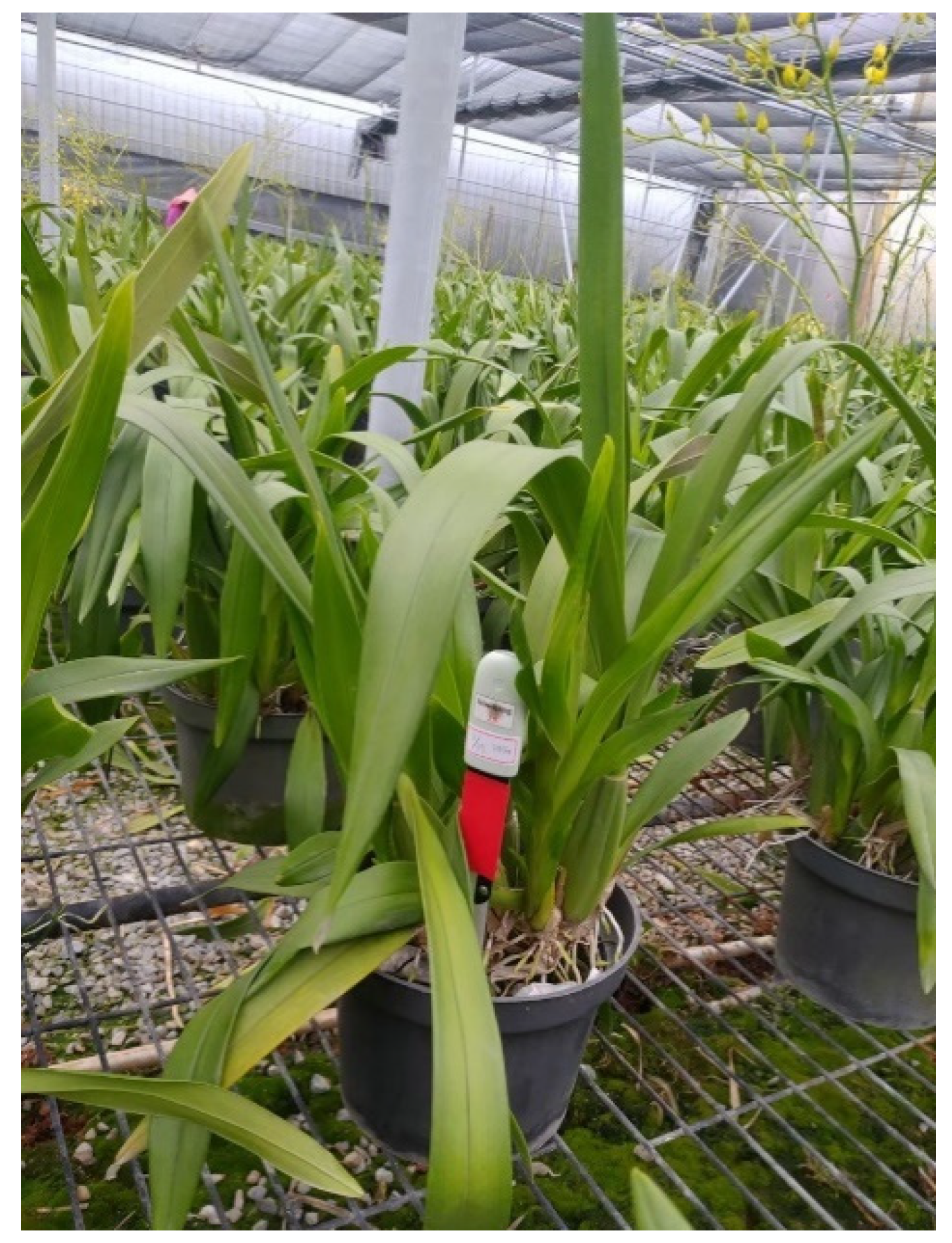 Sensors 21 01853 g005