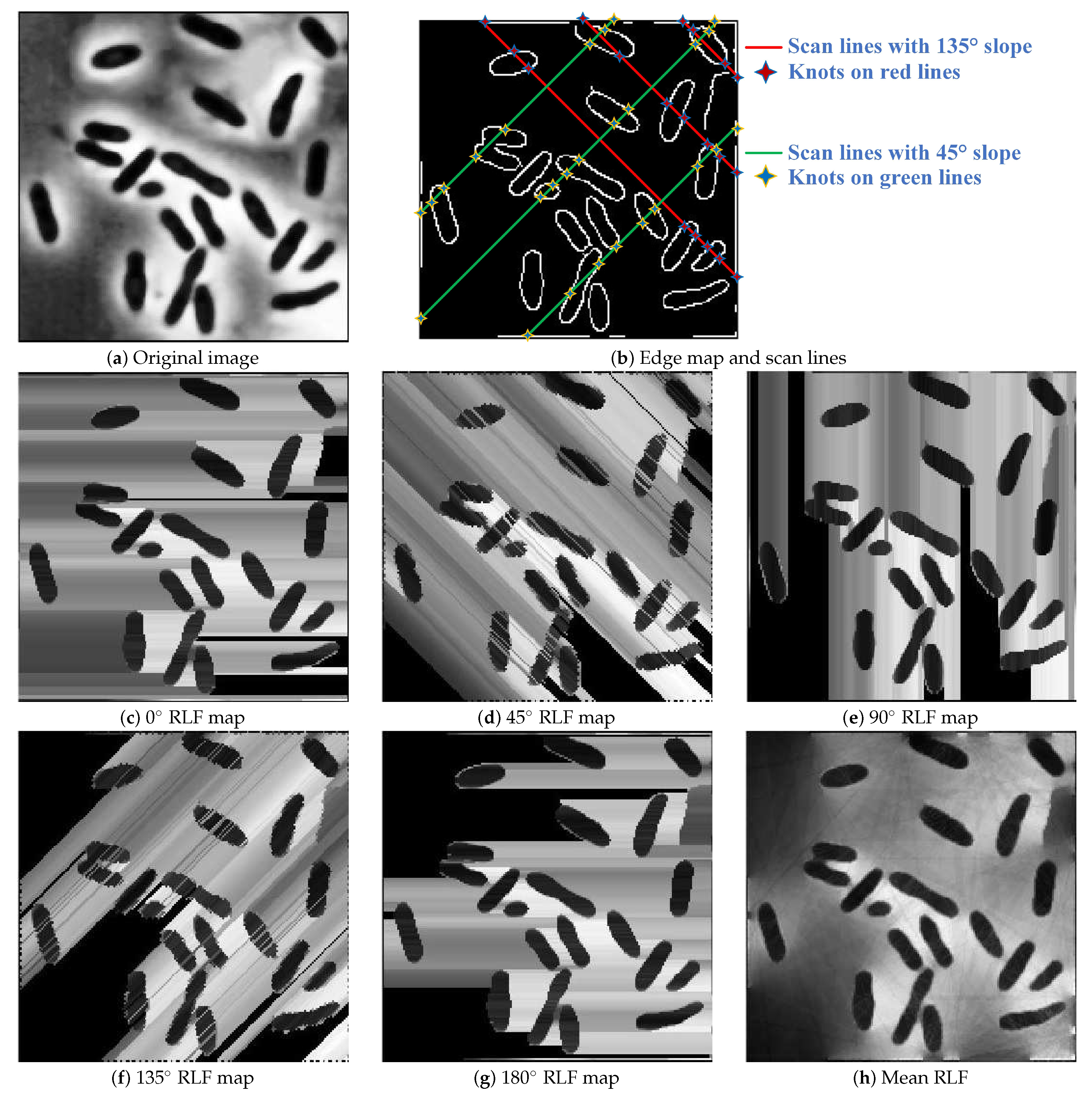 Sensors 21 01885 g002 Sensors 21 01885 g002