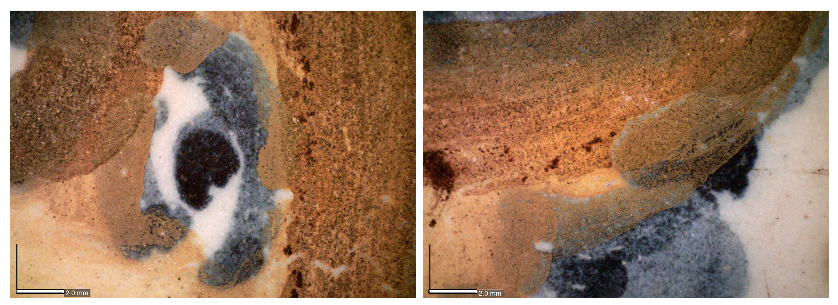 Sensors 21 01913 g007