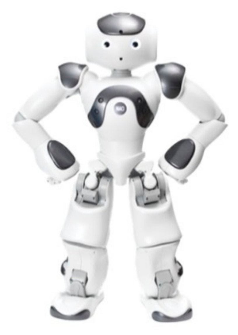 Sensors 21 01919 g012