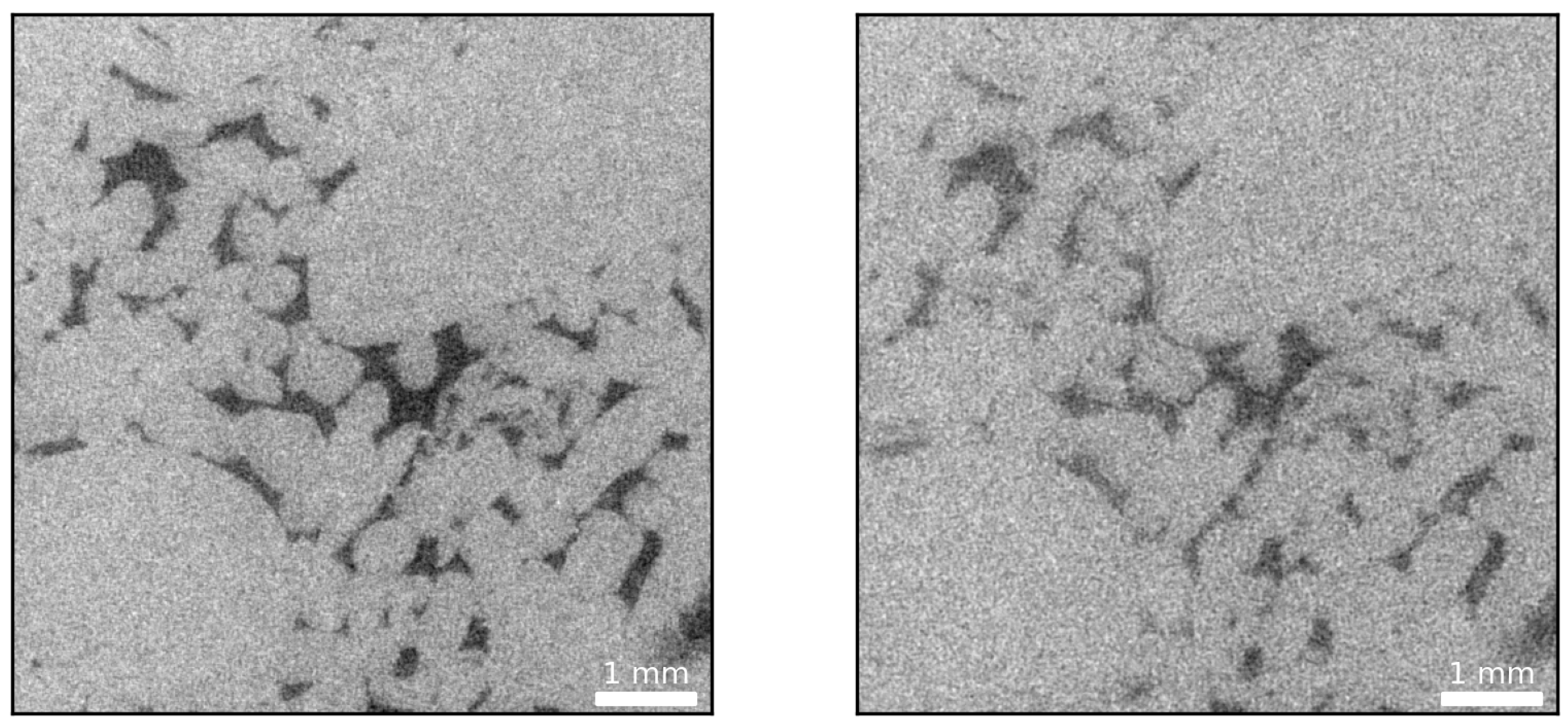 Sensors 21 01921 g003