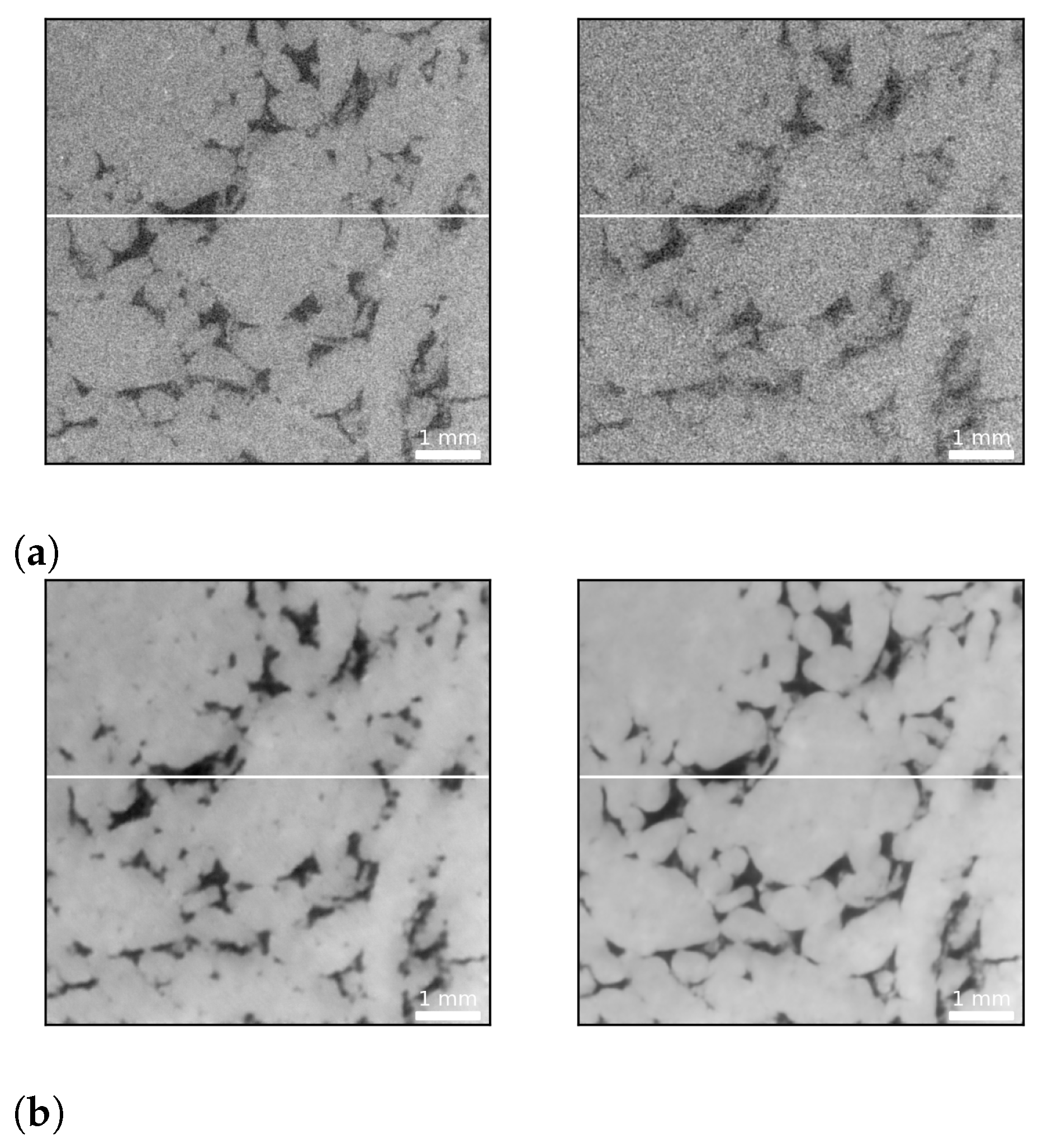 Sensors 21 01921 g012