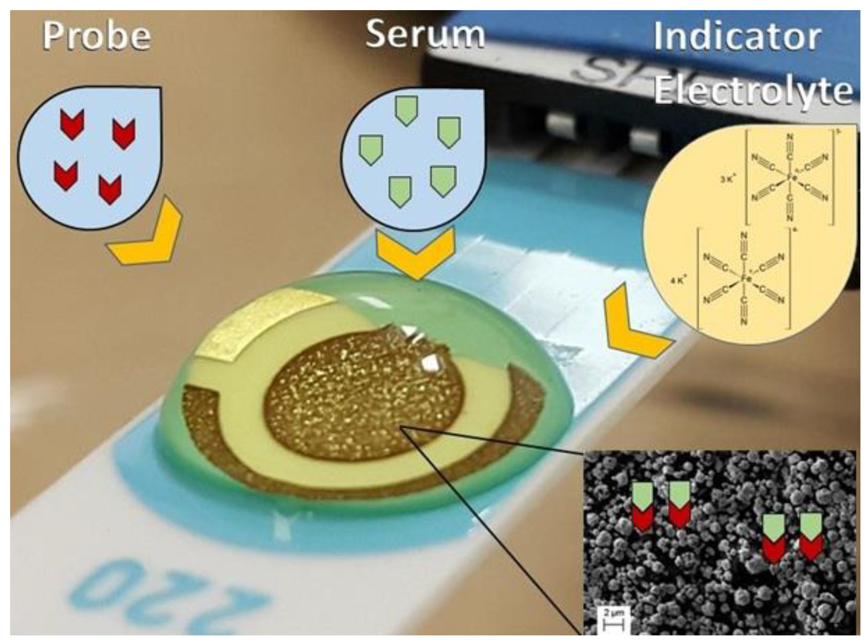Sensors 21 01931 g001 Sensors 21 01931 g001