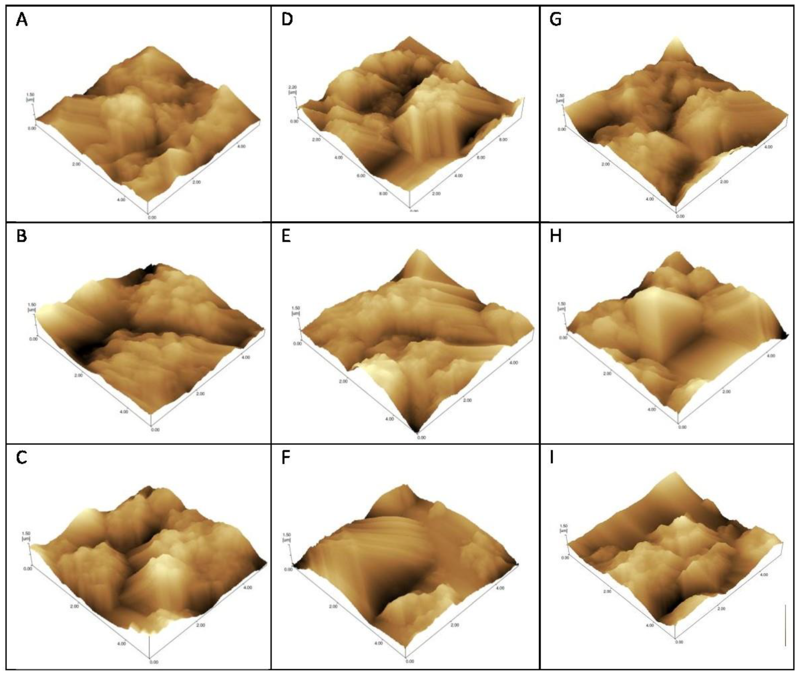 Sensors 21 01931 g004 Sensors 21 01931 g004