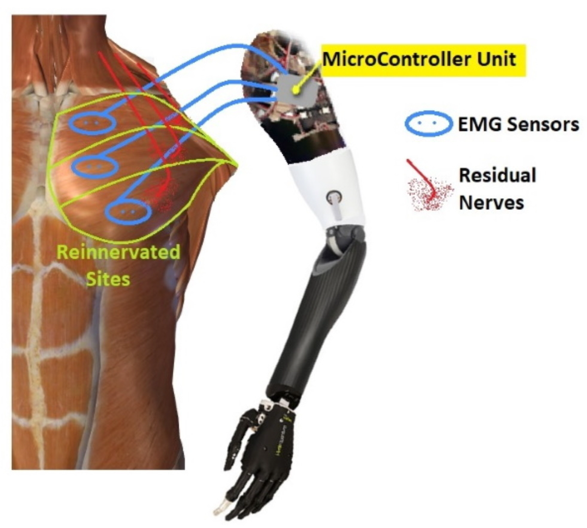 Sensors 21 01953 g002
