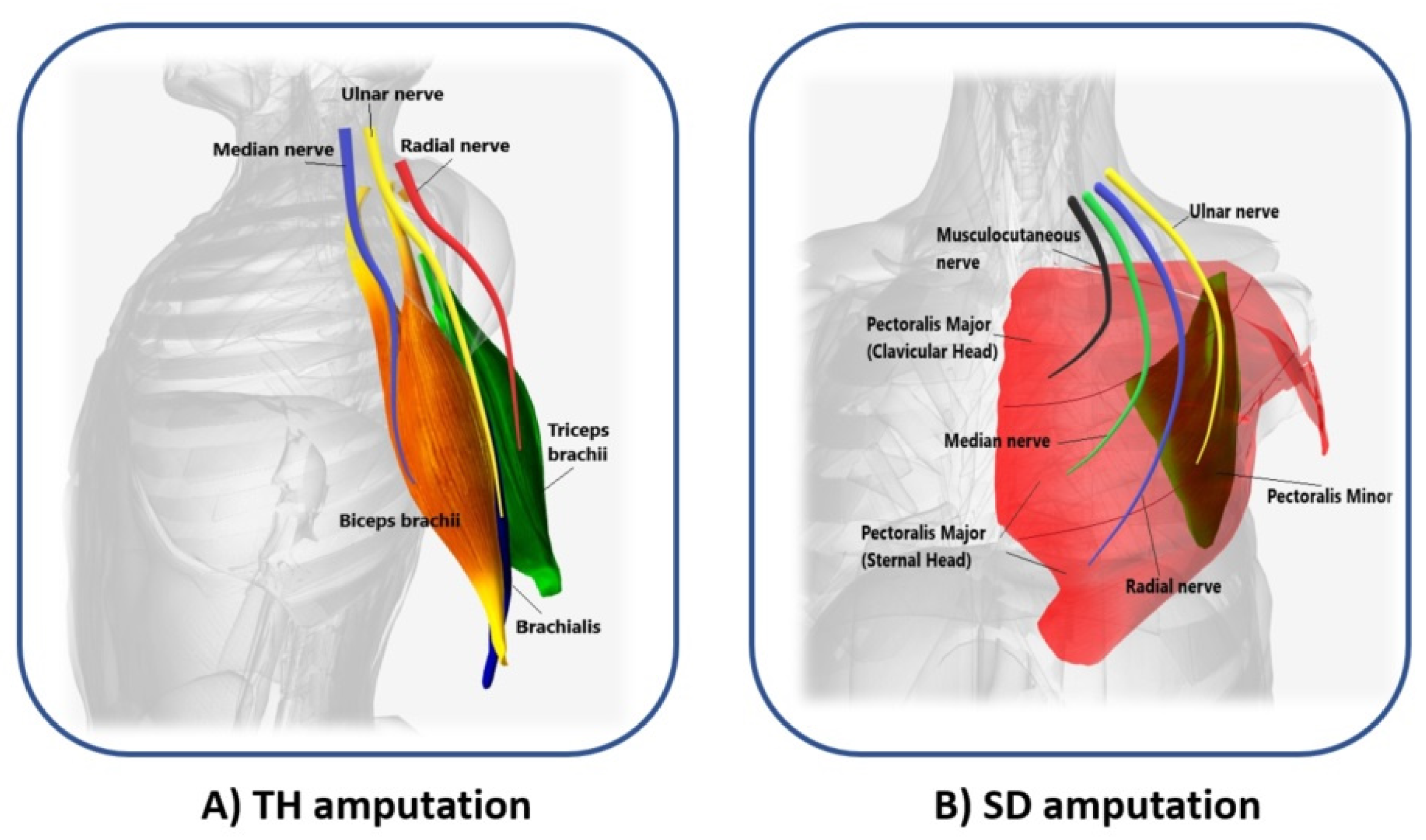 Sensors 21 01953 g003