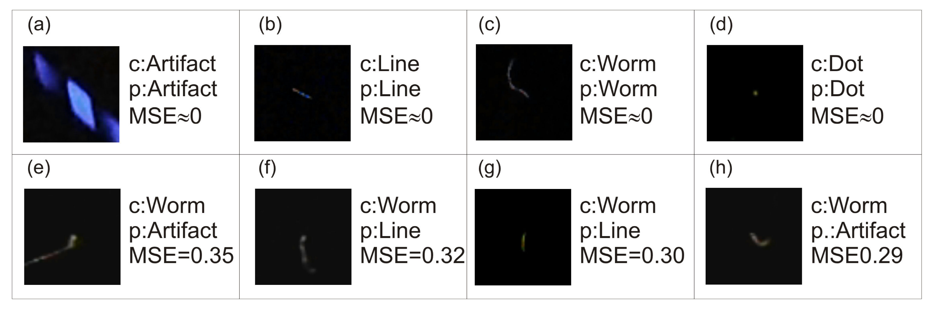 Sensors 21 01963 g006