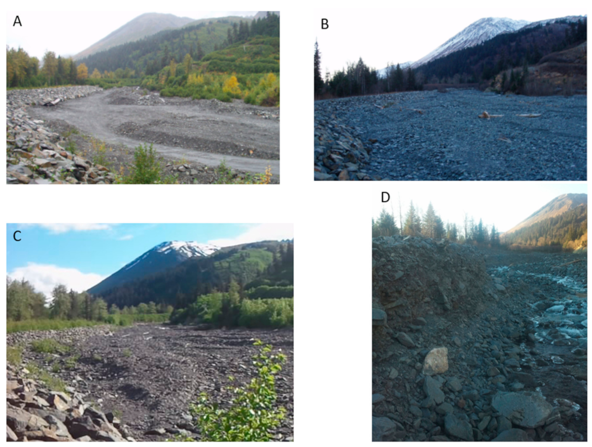 Sensors 21 01966 g004