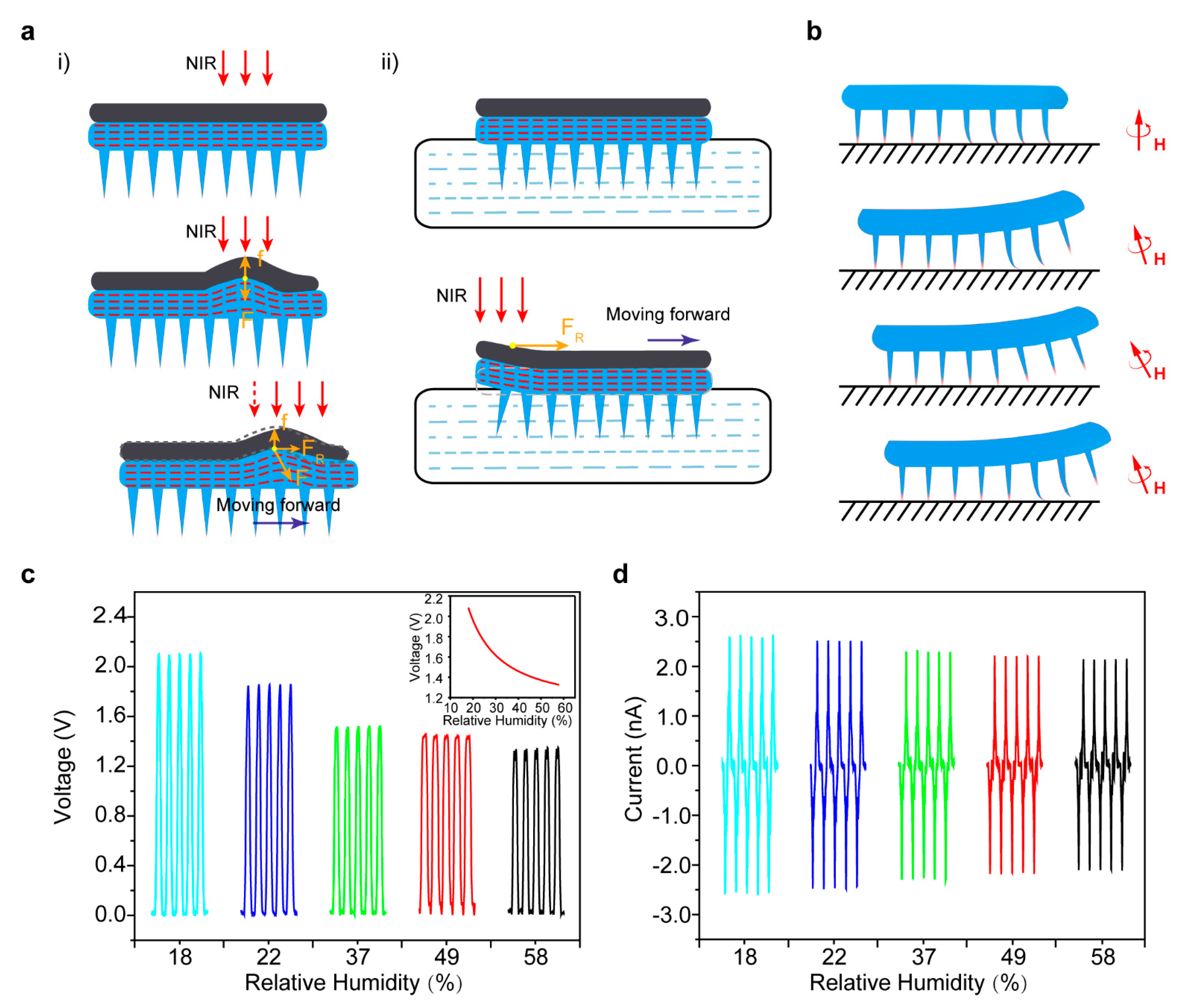 Sensors 21 01972 g004