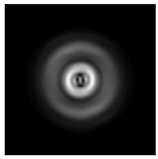 Sensors 21 01973 i102