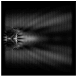 Sensors 21 01973 i113