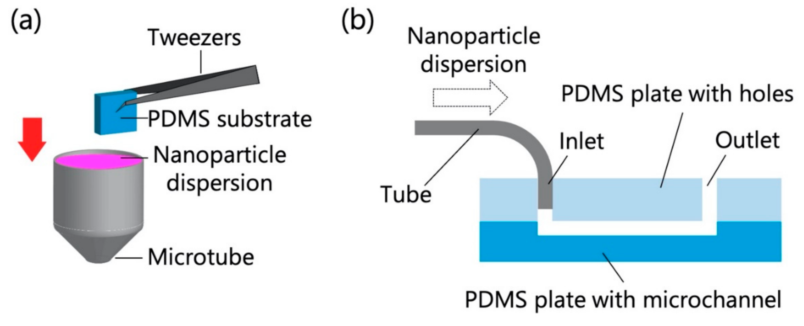 Sensors 21 01978 g001