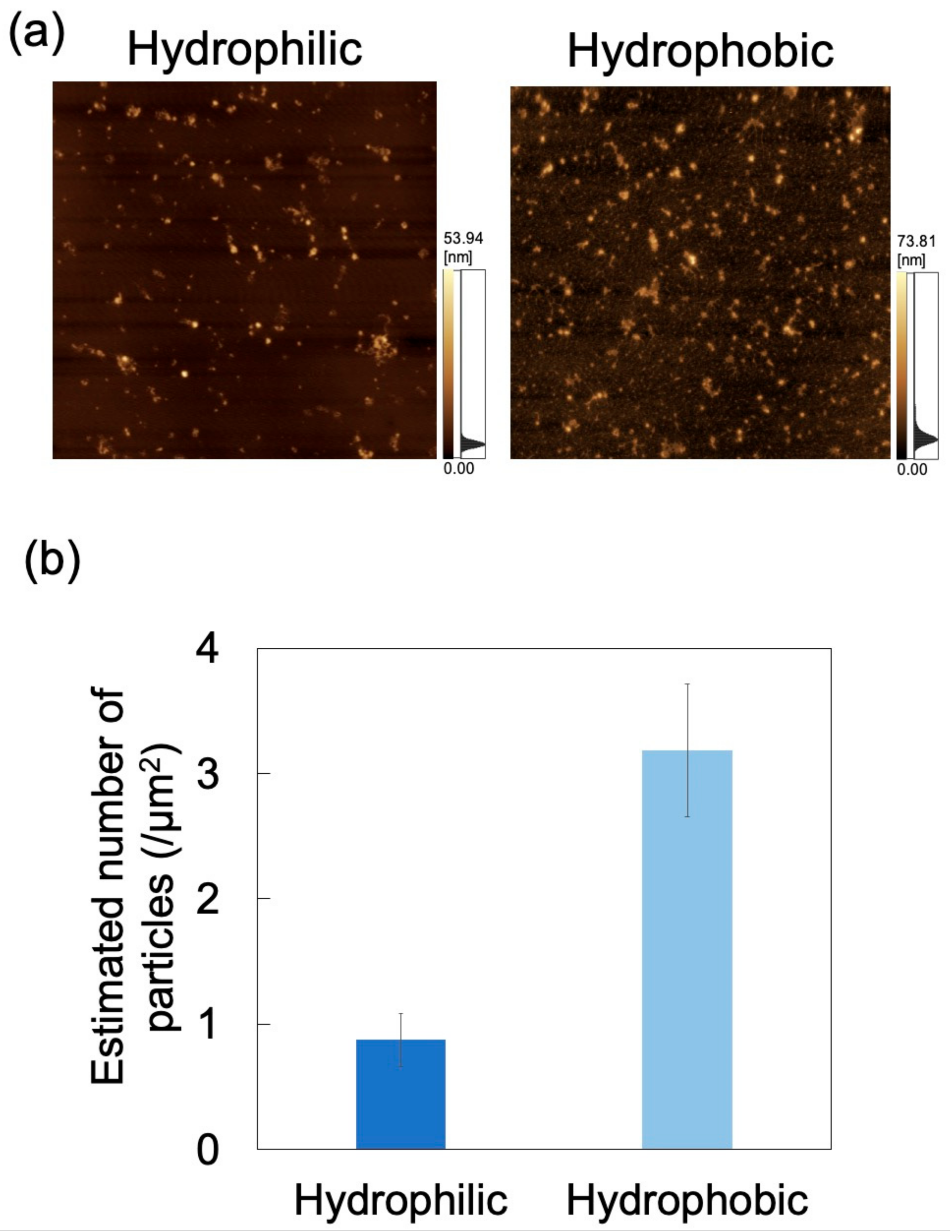 Sensors 21 01978 g011