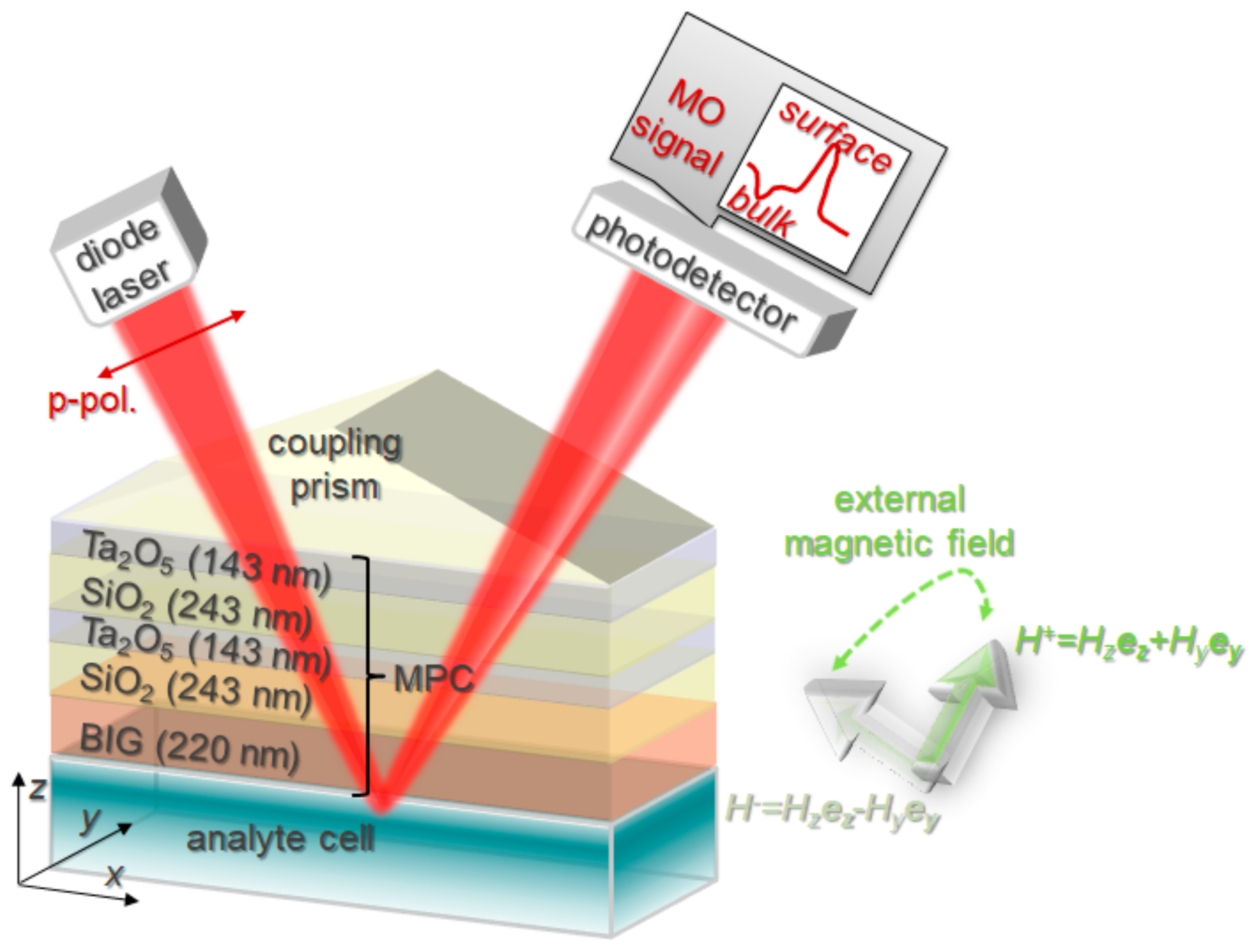 Sensors 21 01984 g001