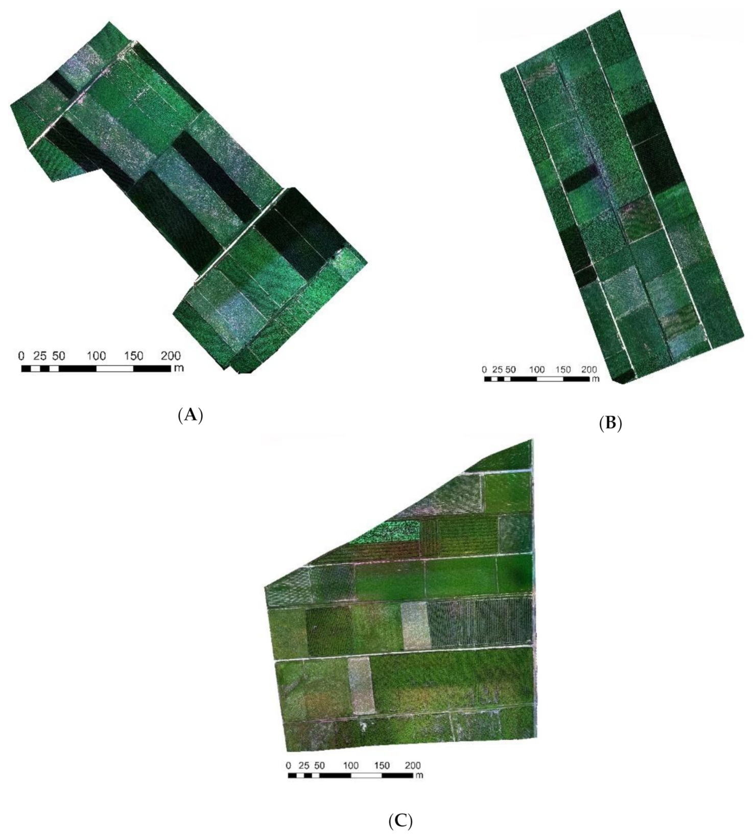 Sensors 21 01994 g002